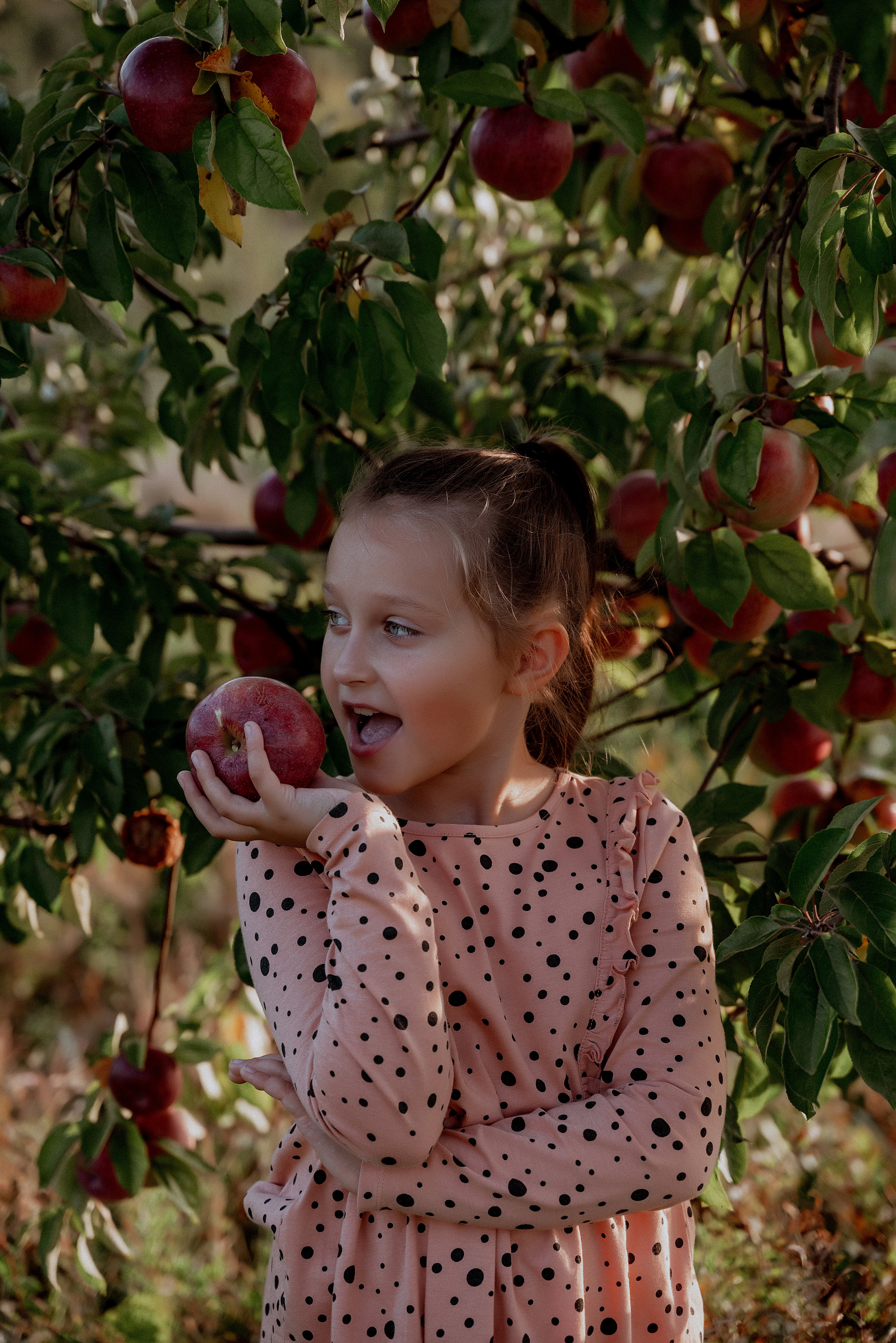 Emīlija. Ваш фотограф в Латгалии — Александра Юхневича!
