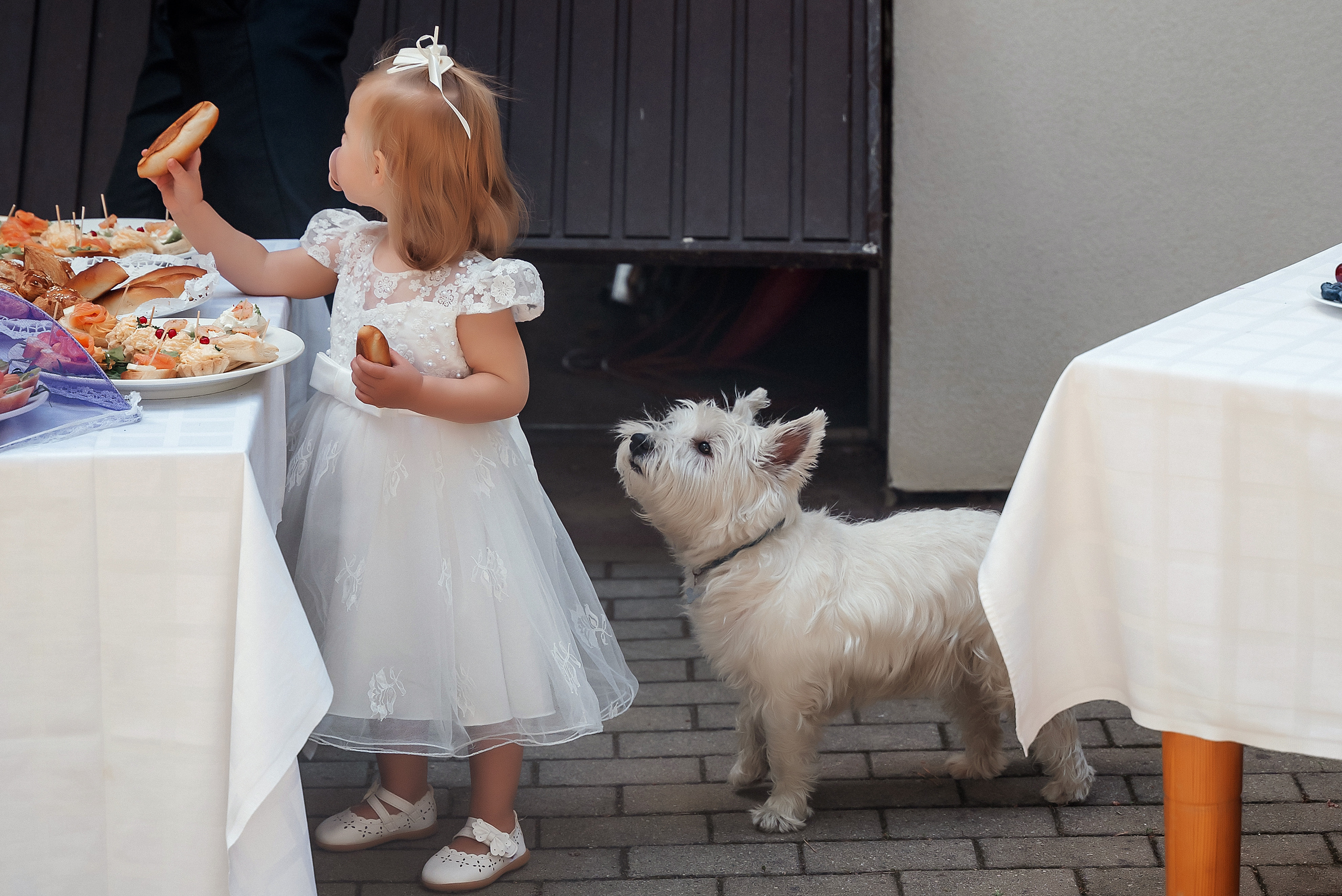 Liene un Aleksandrs. Ваш фотограф в Латгалии — Александра Юхневича!