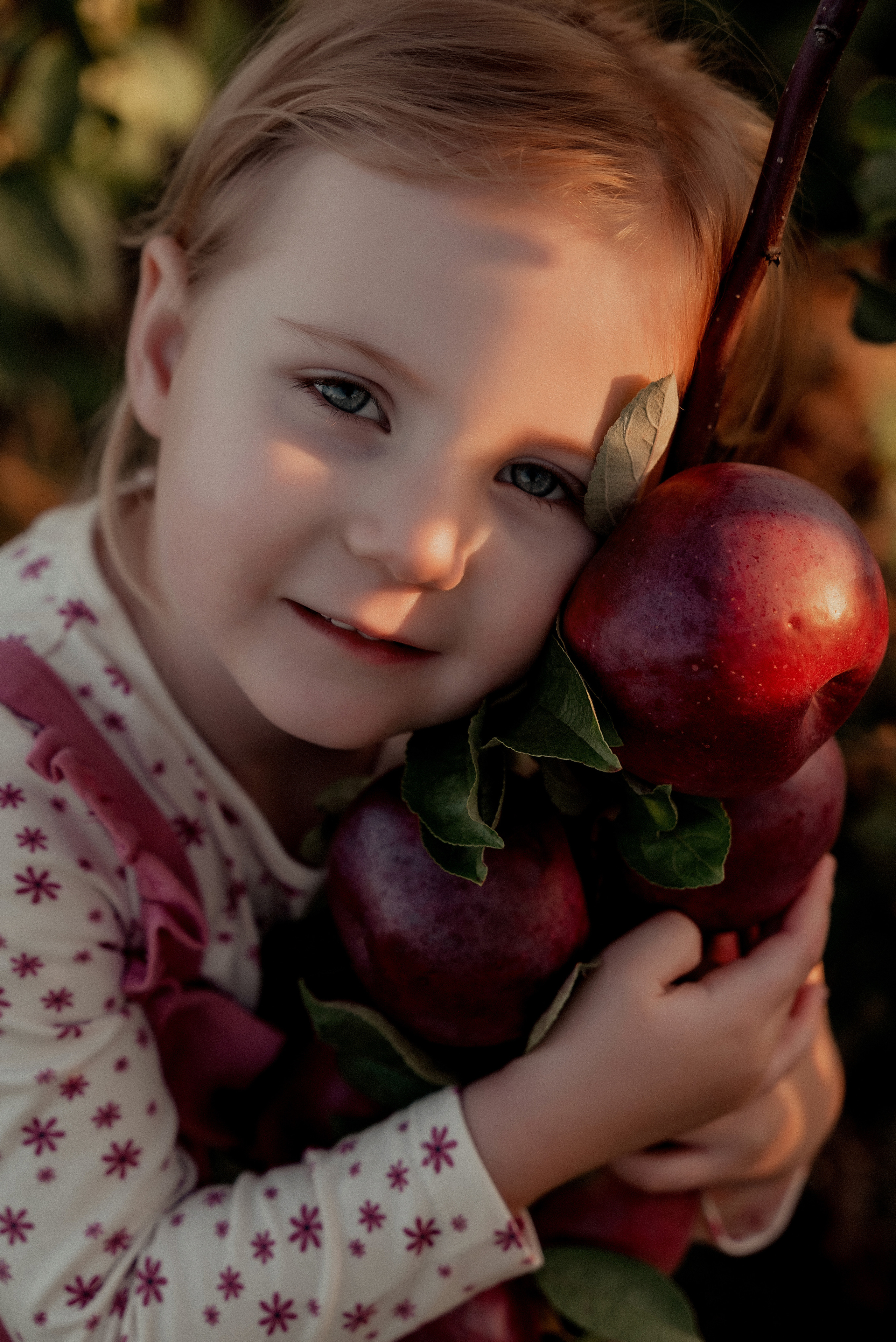 Яблочное настроение. Ваш фотограф в Латгалии — Александра Юхневича!