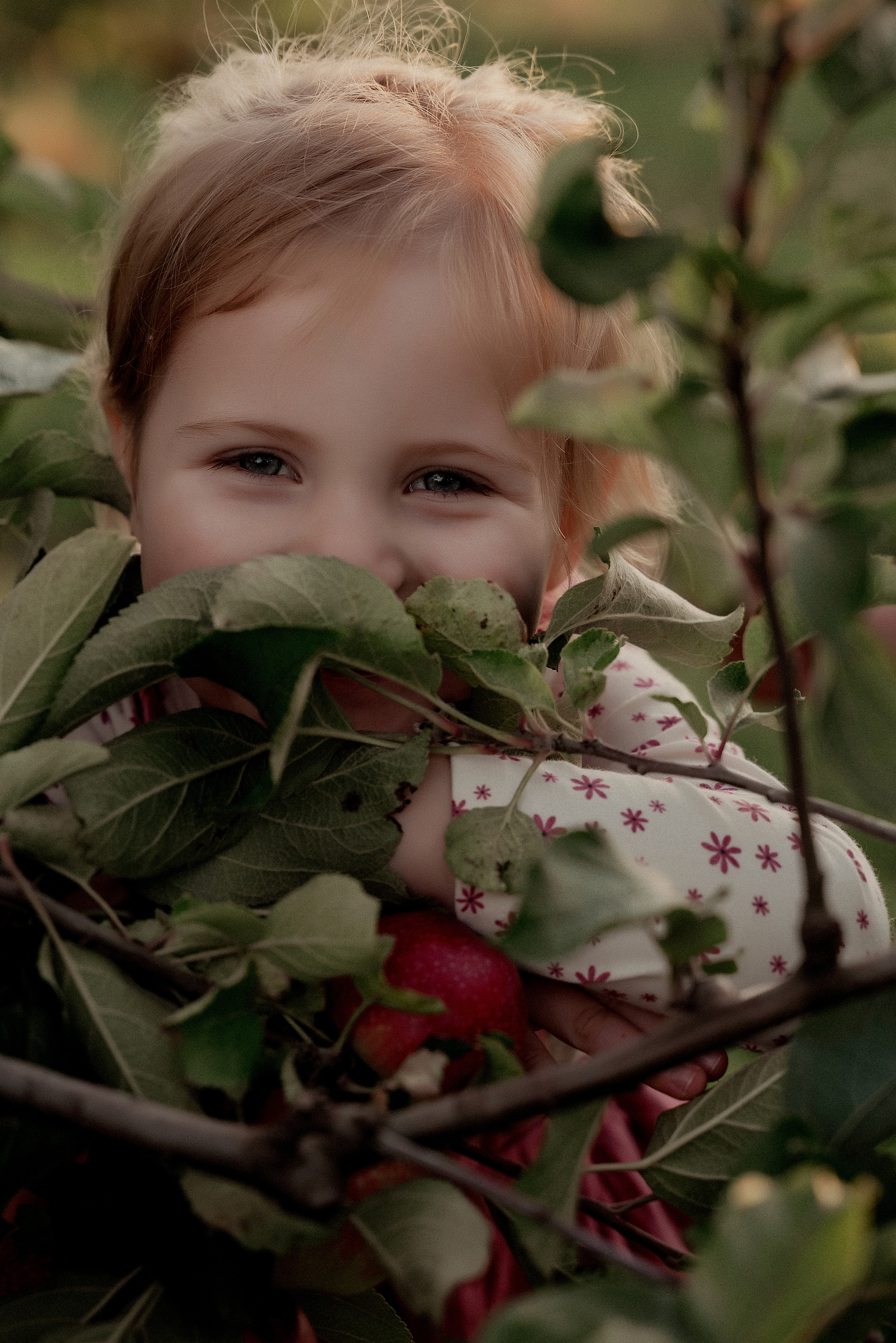 Яблочное настроение. Ваш фотограф в Латгалии — Александра Юхневича!