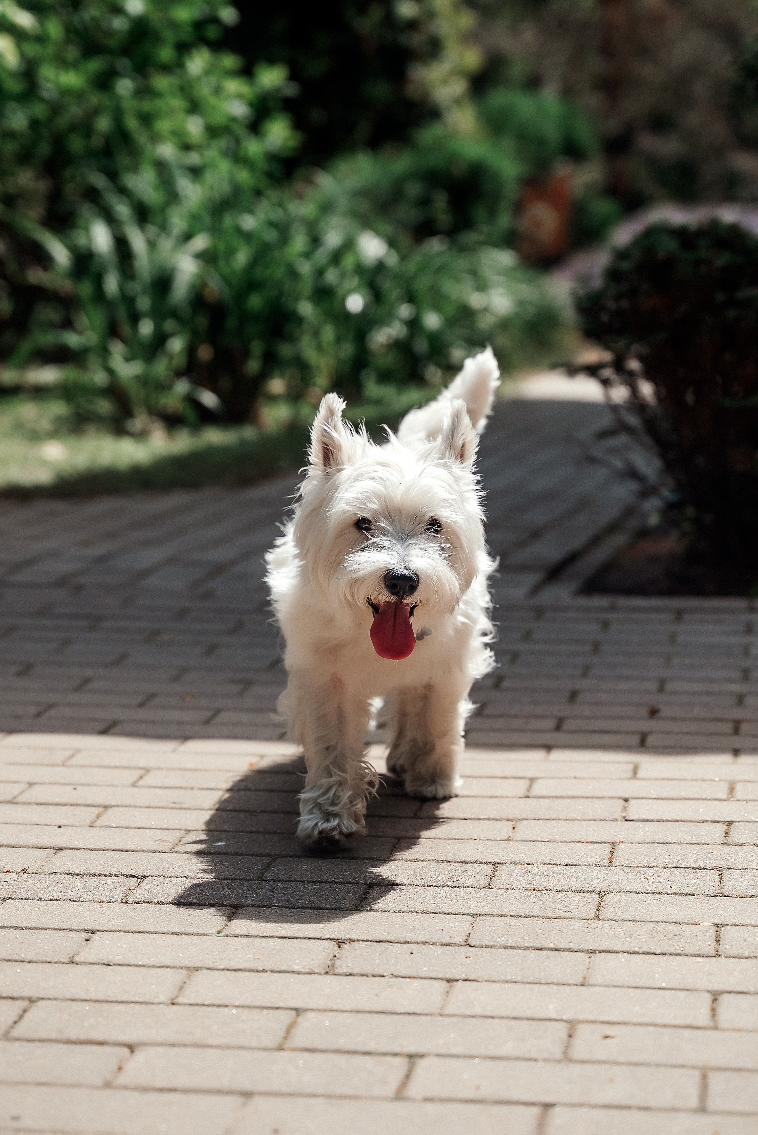 Liene un Aleksandrs. Ваш фотограф в Латгалии — Александра Юхневича!
