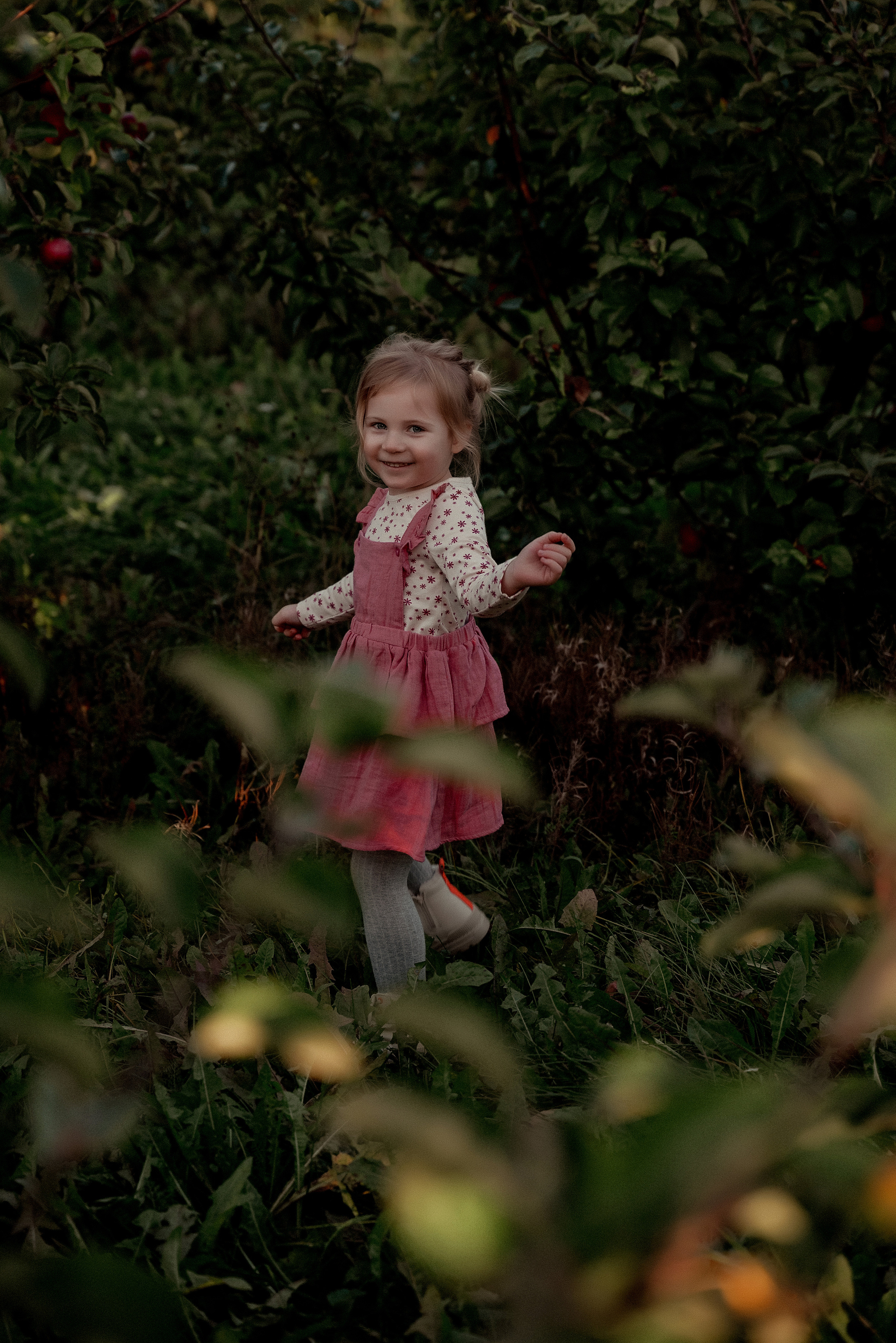 Яблочное настроение. Ваш фотограф в Латгалии — Александра Юхневича!