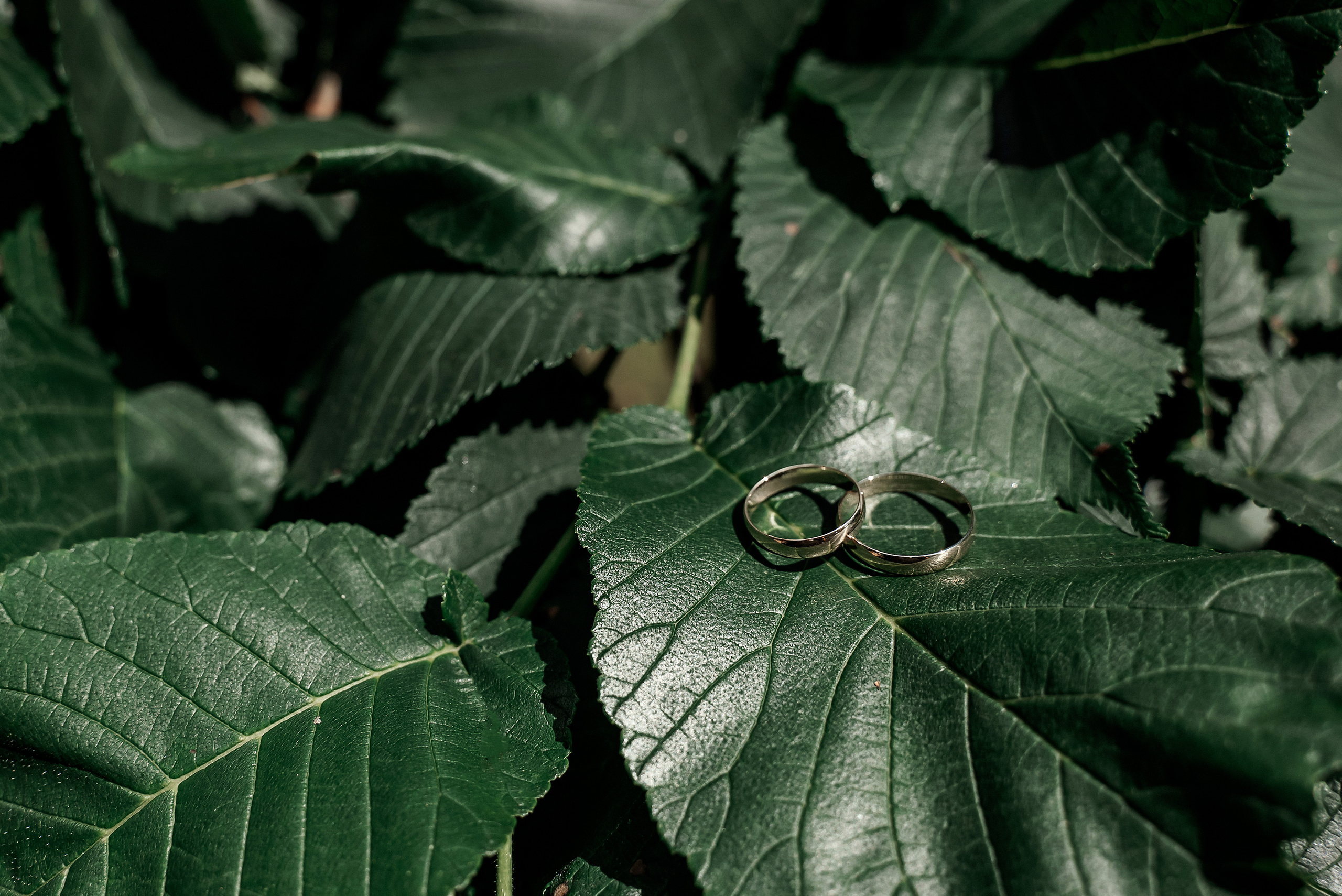 Liene un Aleksandrs. Ваш фотограф в Латгалии — Александра Юхневича!