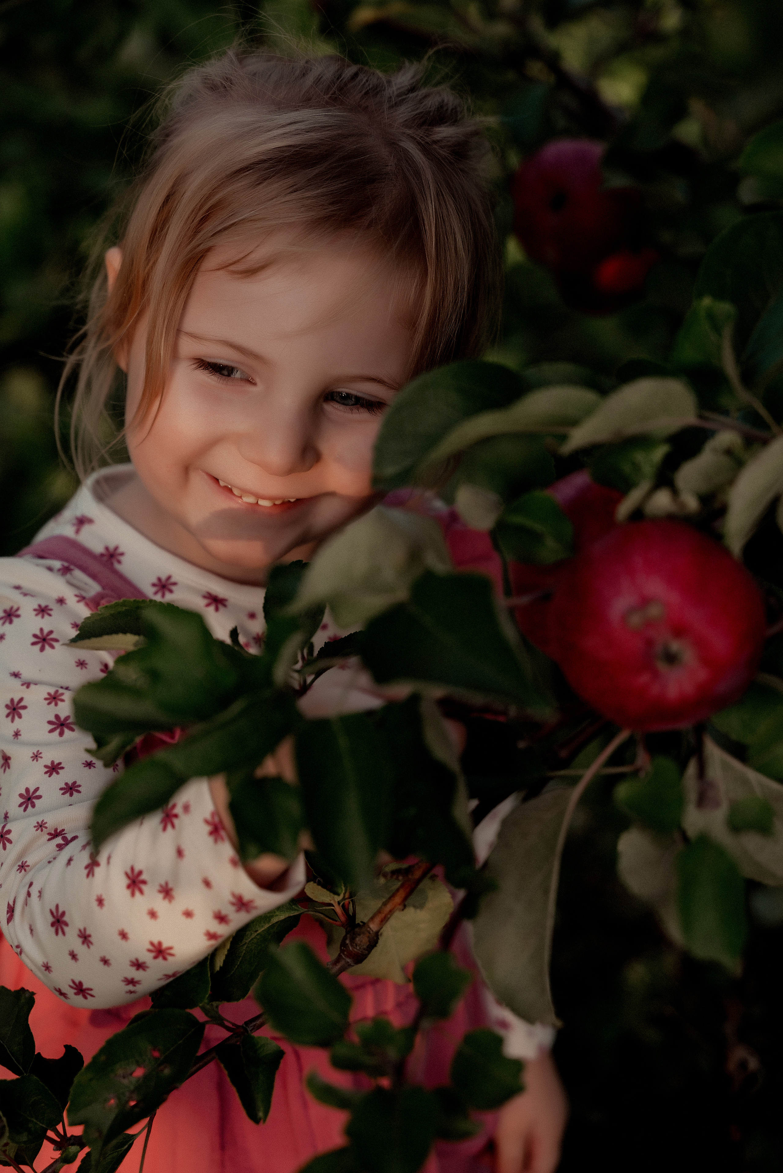 Яблочное настроение. Ваш фотограф в Латгалии — Александра Юхневича!
