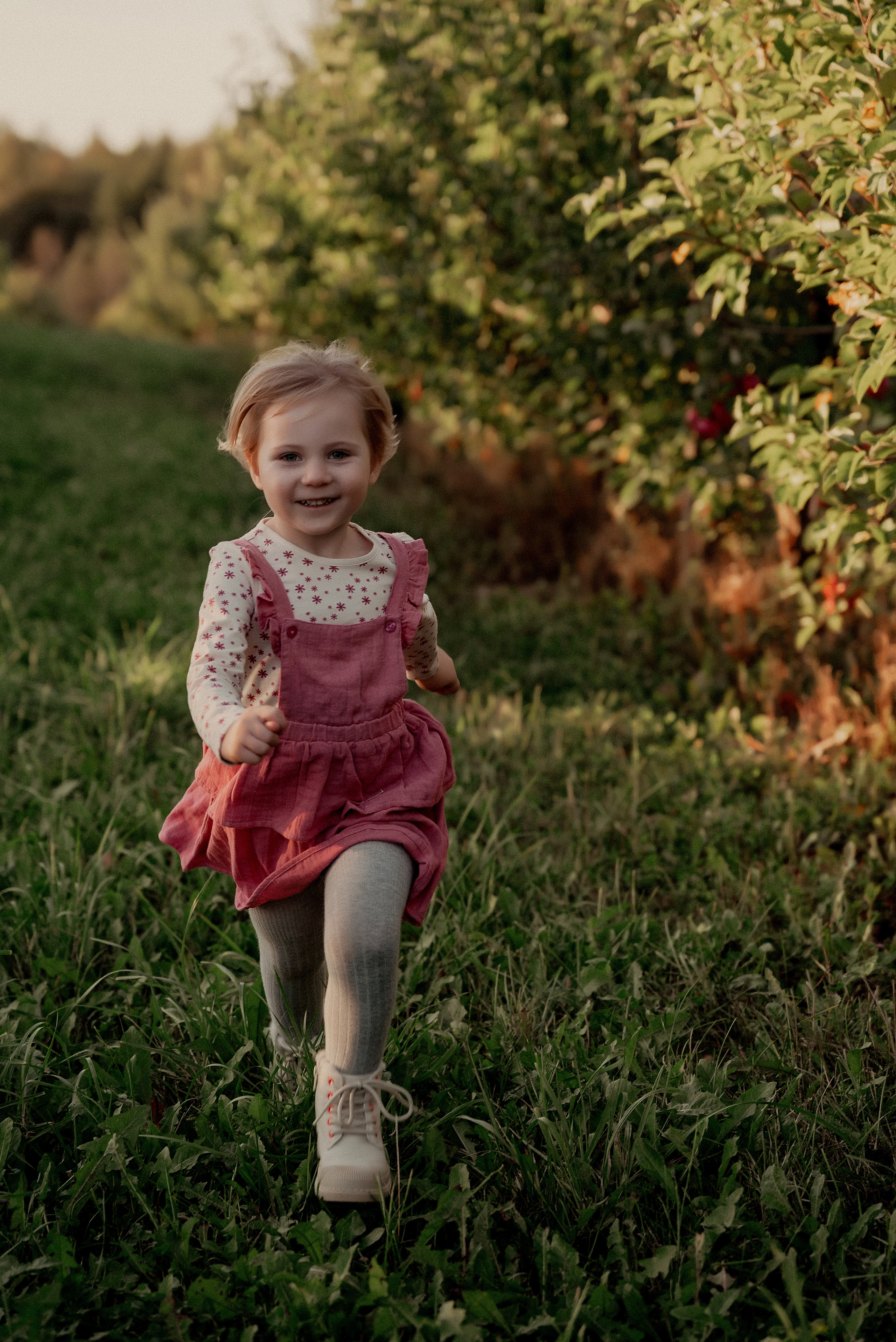 Яблочное настроение. Ваш фотограф в Латгалии — Александра Юхневича!