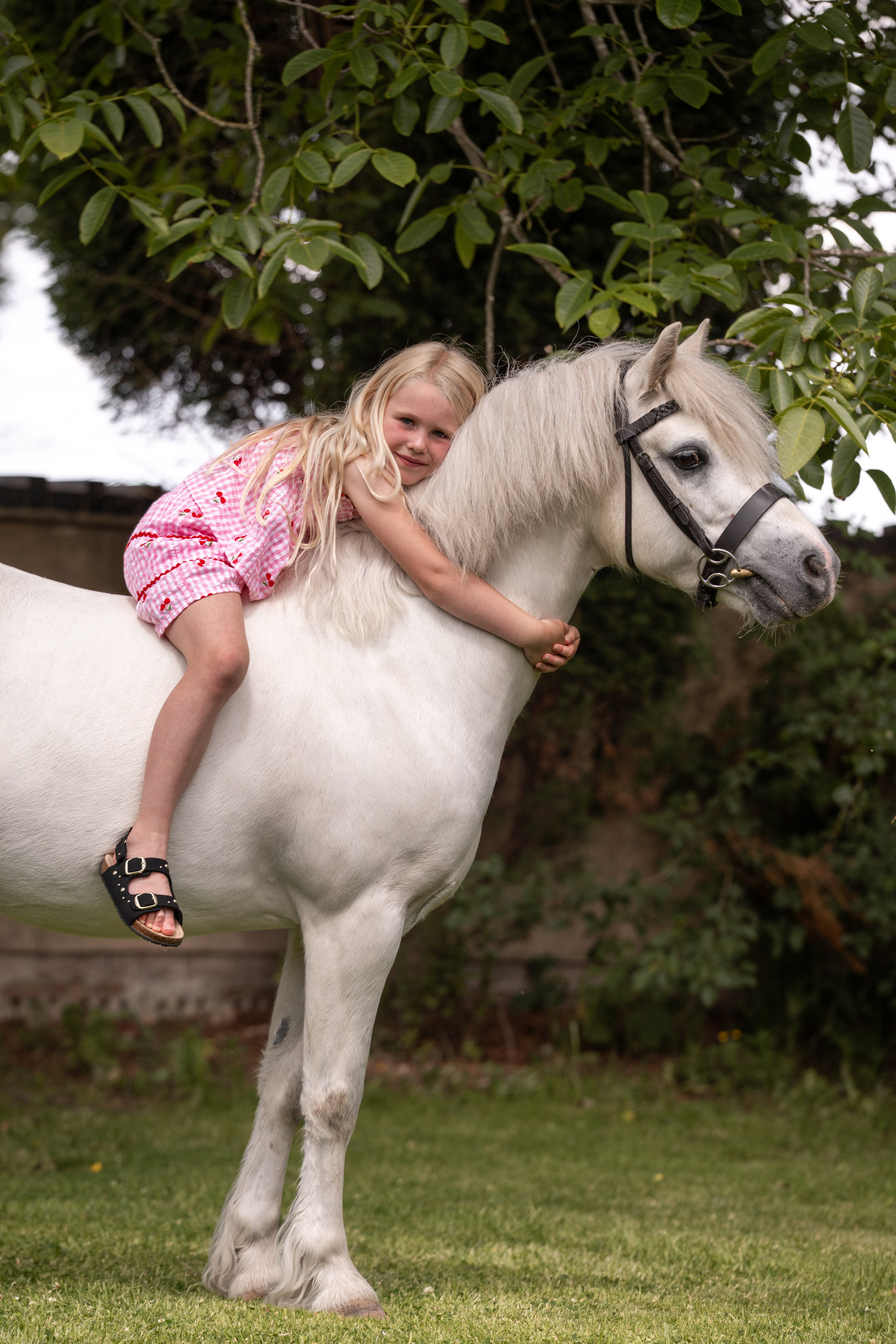 Equine Photography Portfolio | Leicestershire Horse Portrait Photographer. Leicestershire Equine Photography by El | Authentic Equine Portraits & Events