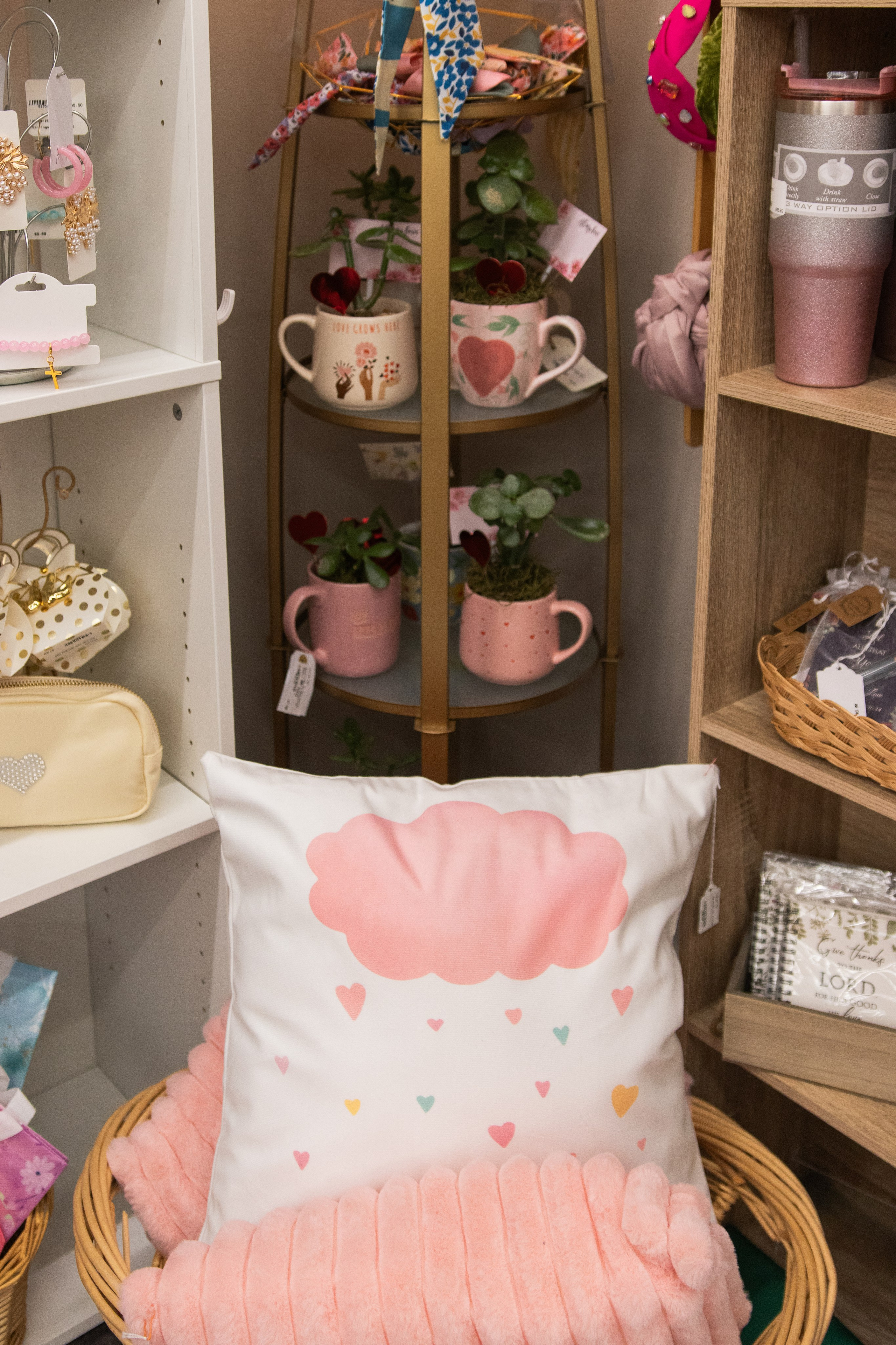 Painted Tree Boutiques winter 2026 retail collection photoshoot in Round Rock