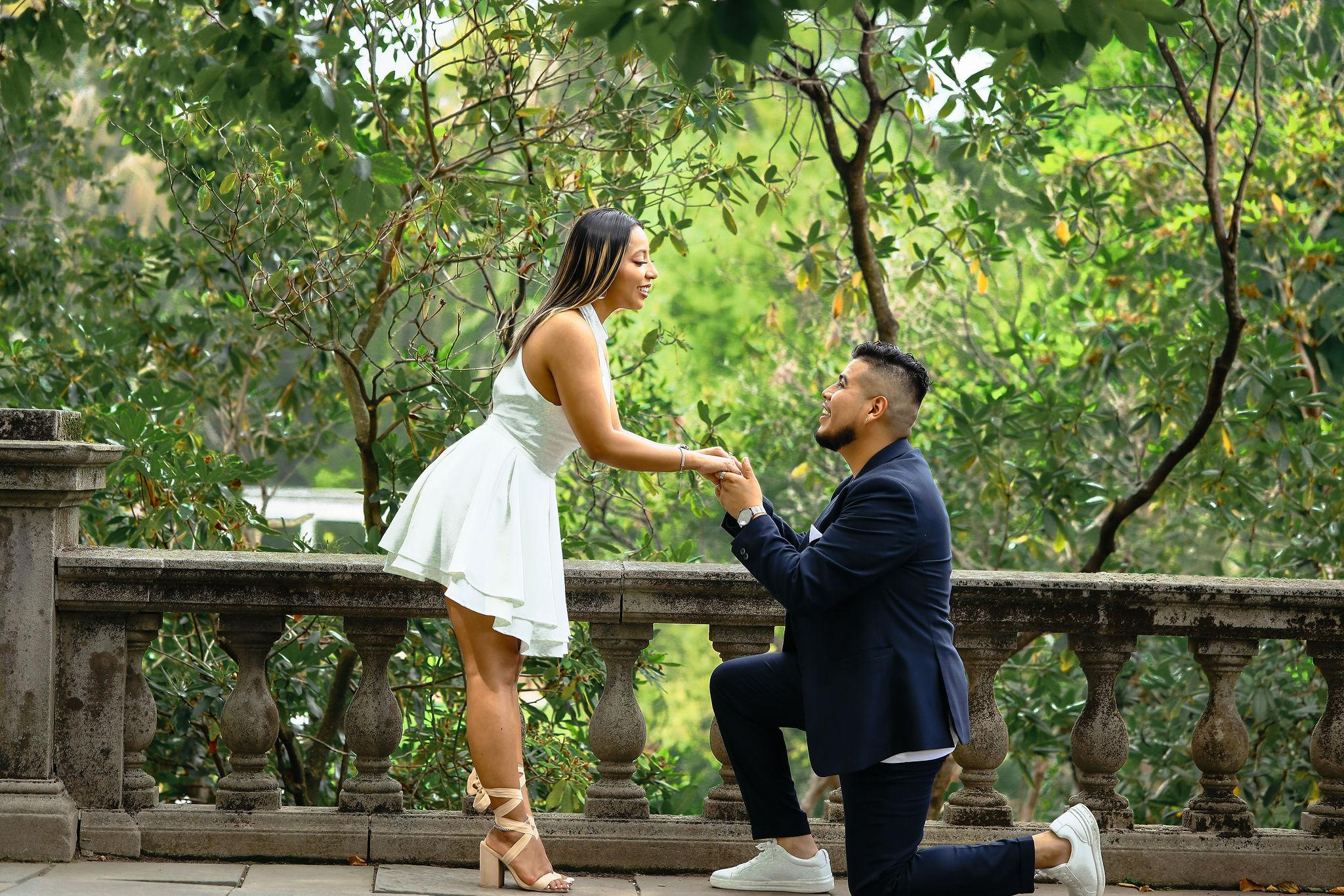 Engagement. Wedding Photo & Video