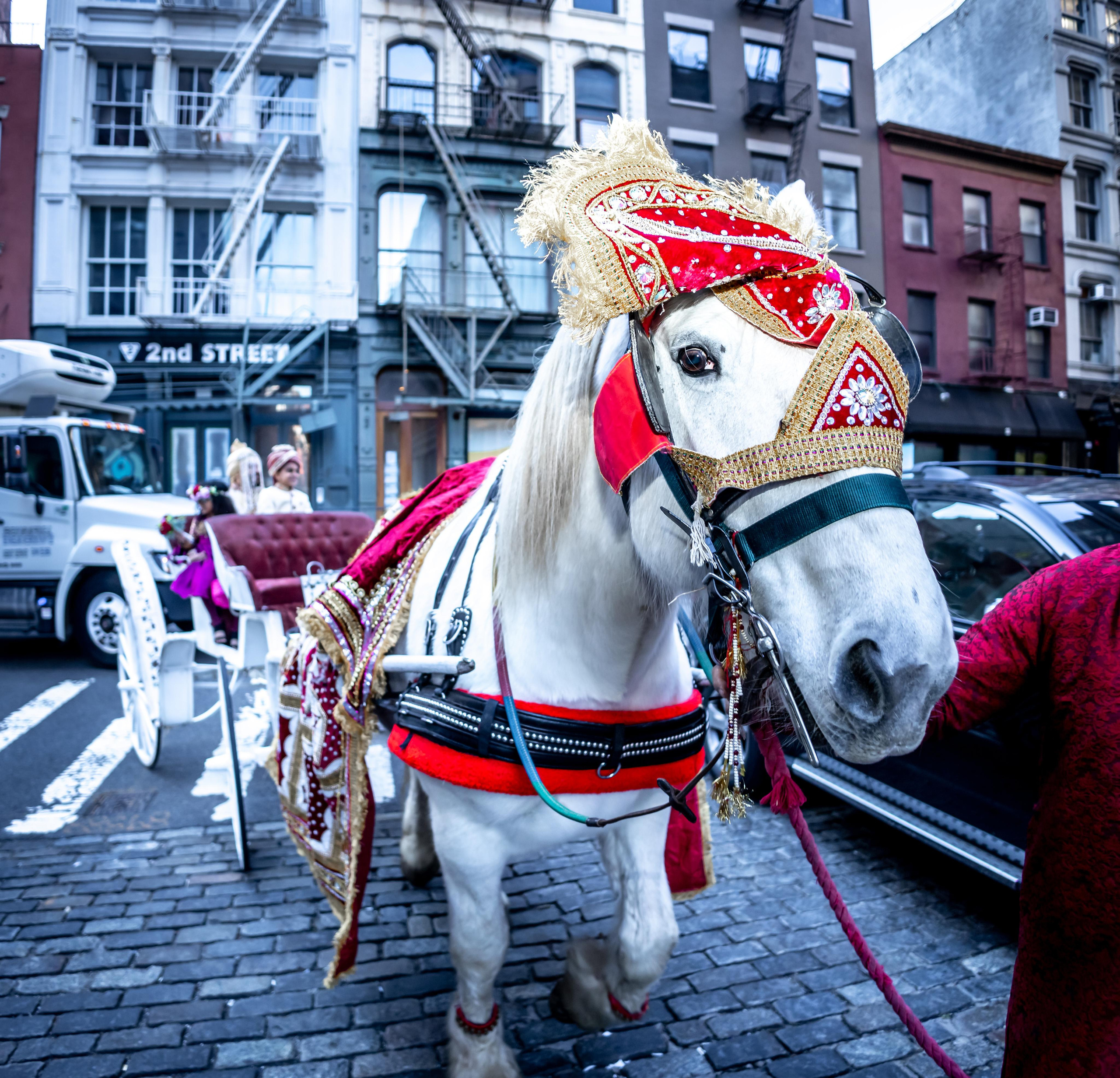 Indian Weddings. Wedding Photo & Video