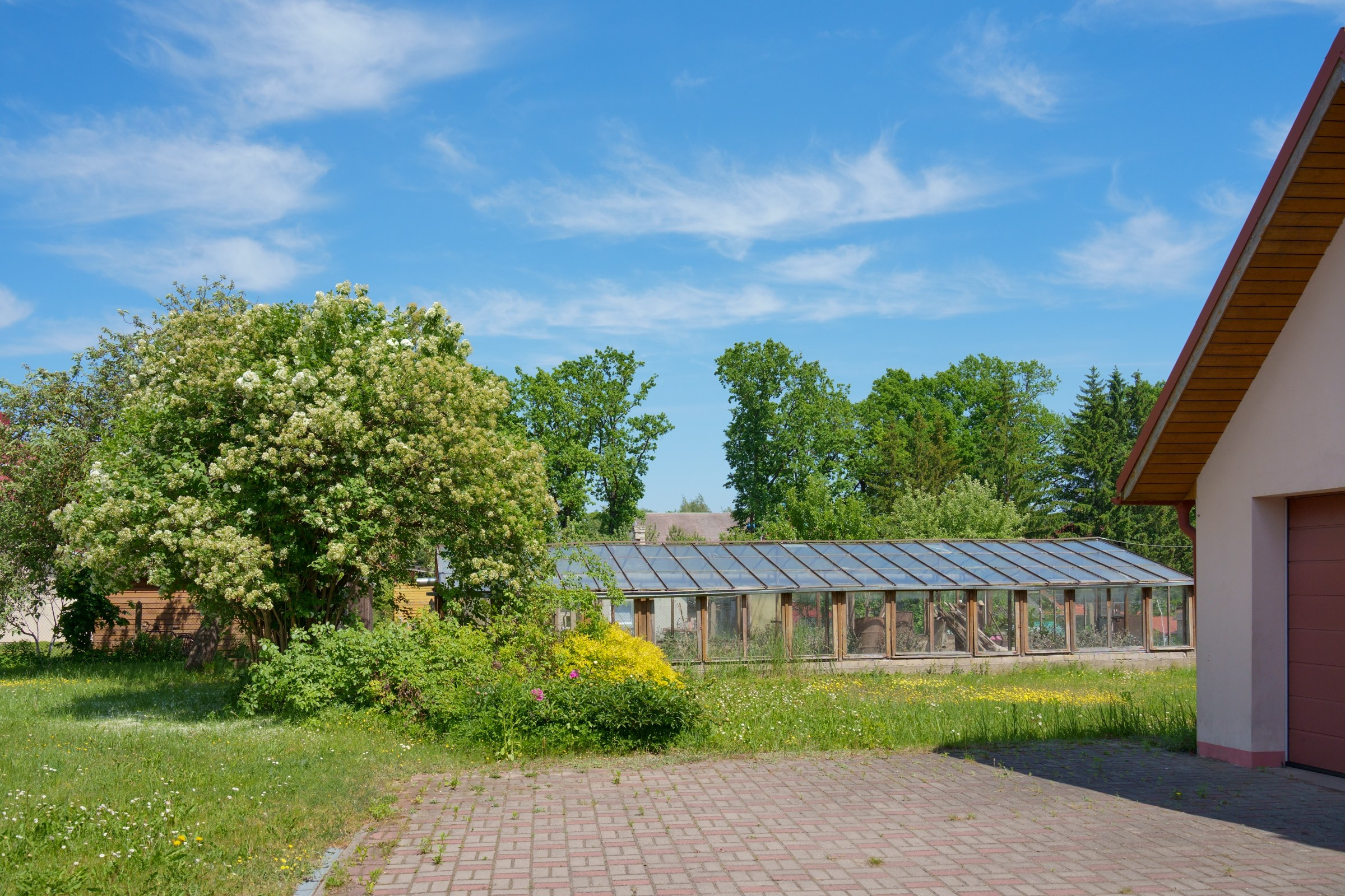 Bukiškės, Jaunimo g. Elina Sapiega fotografė Vilniuje
