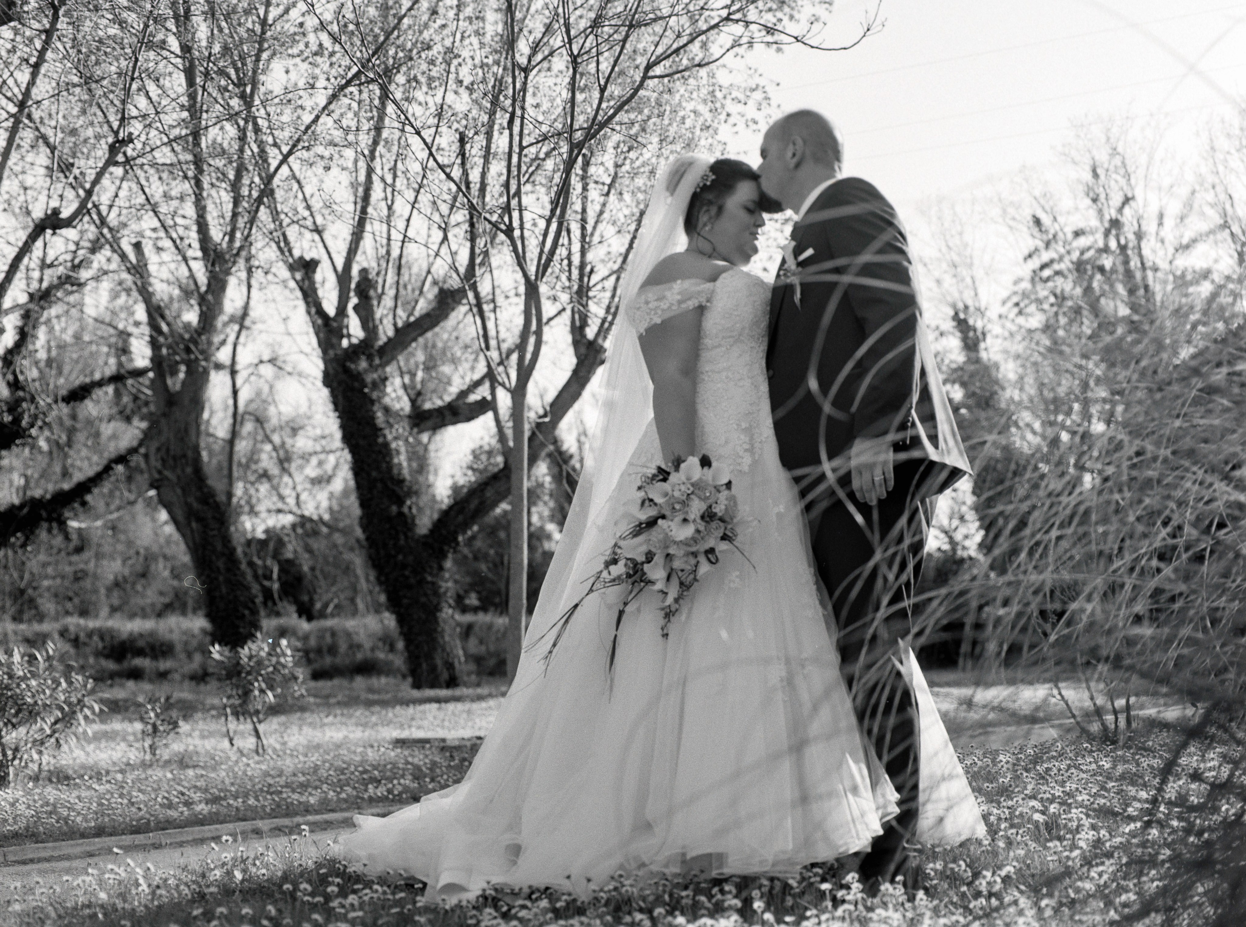 Medio formato - Mamiya. Fotografia e video