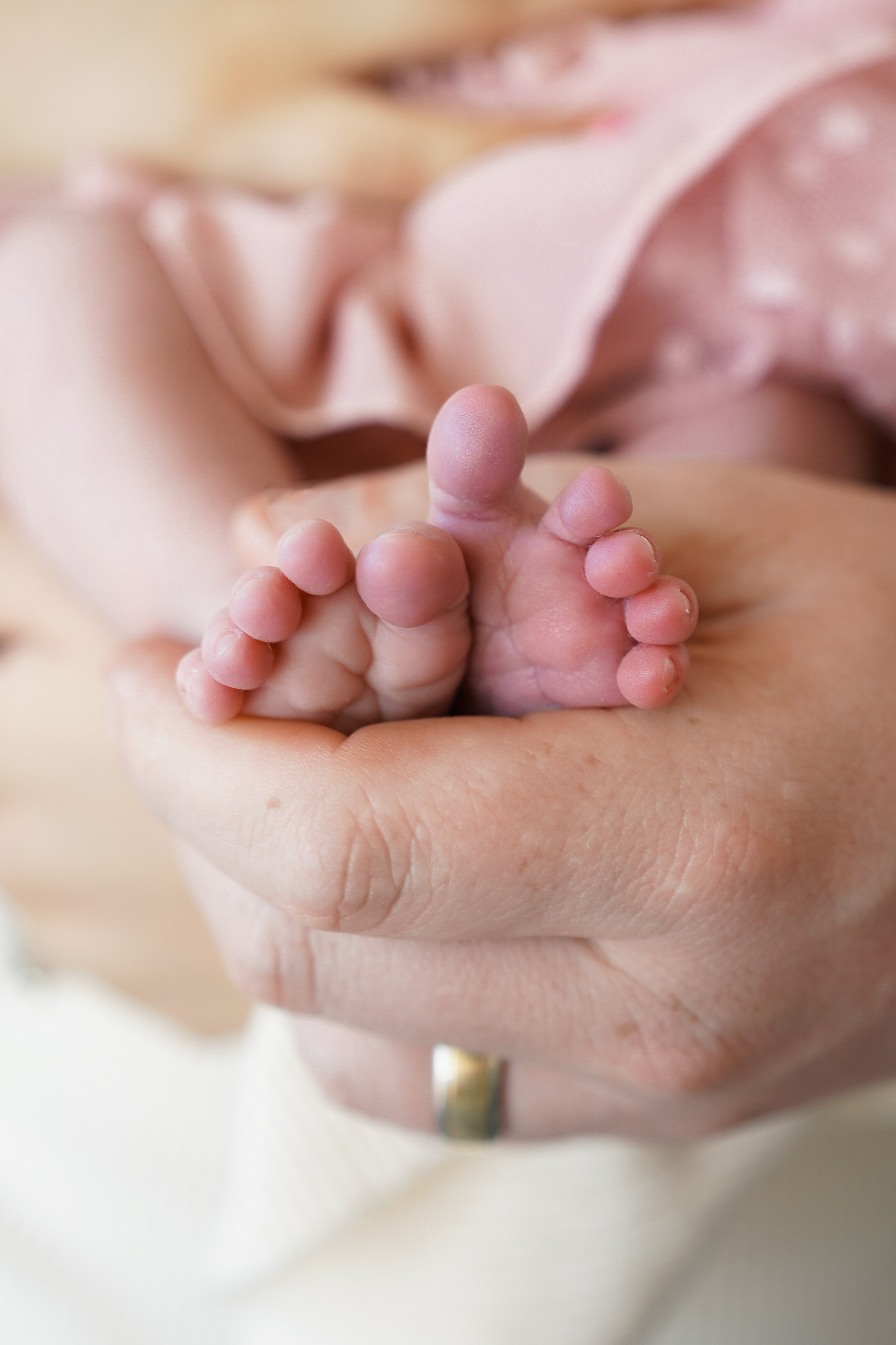 Newborn+Family. Maternity, family and newborn photography in San Francisco Bay Area