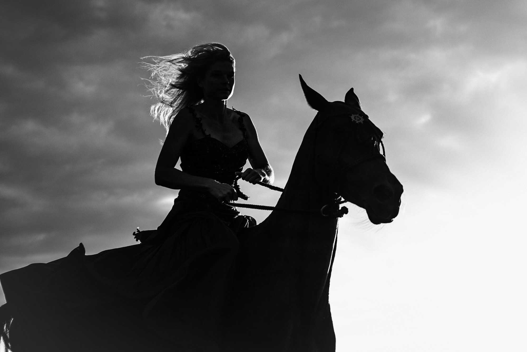 Photo shoot with horses