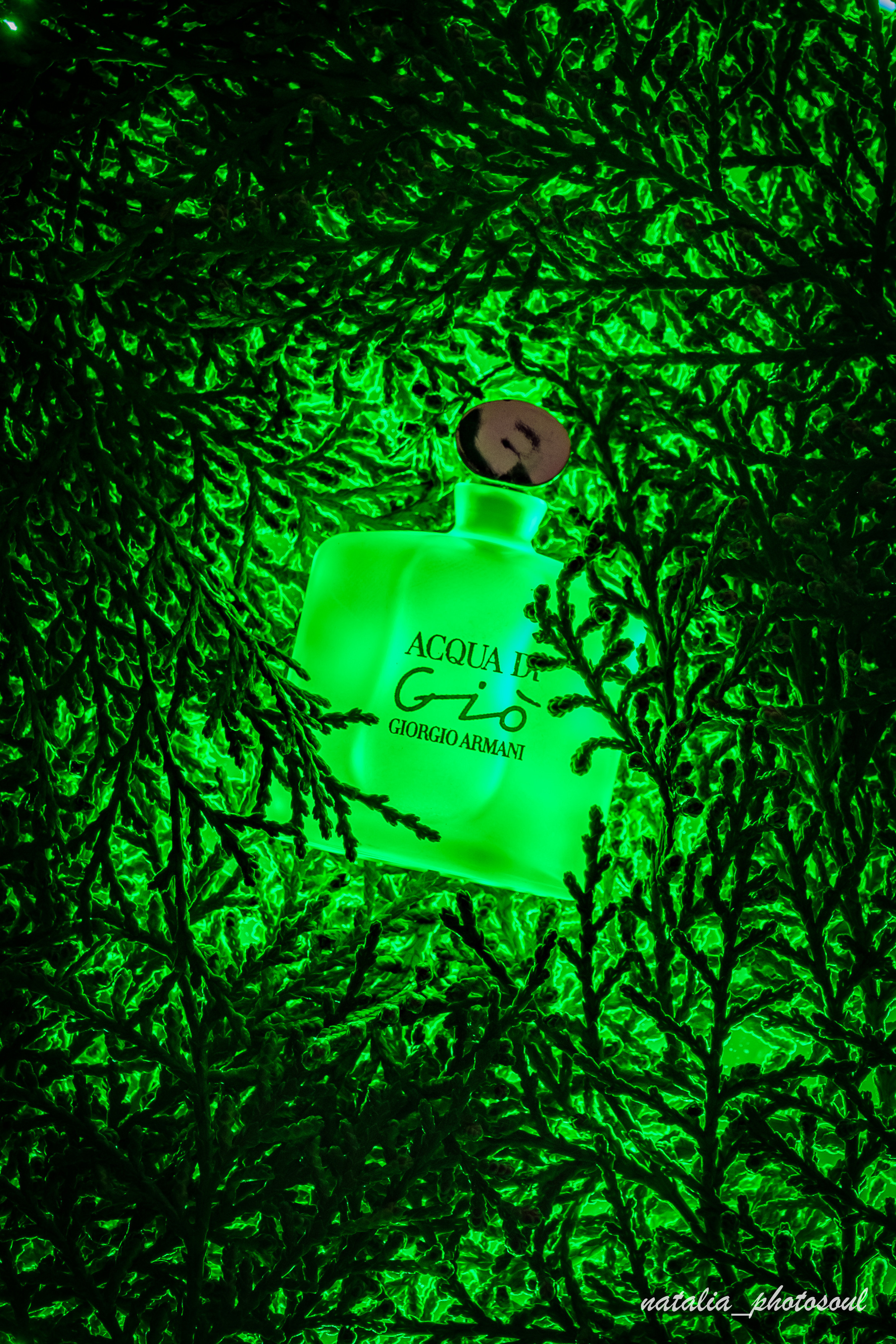 Advertisment shooting. Photographer in Seoul Dobrokvashina Natalya