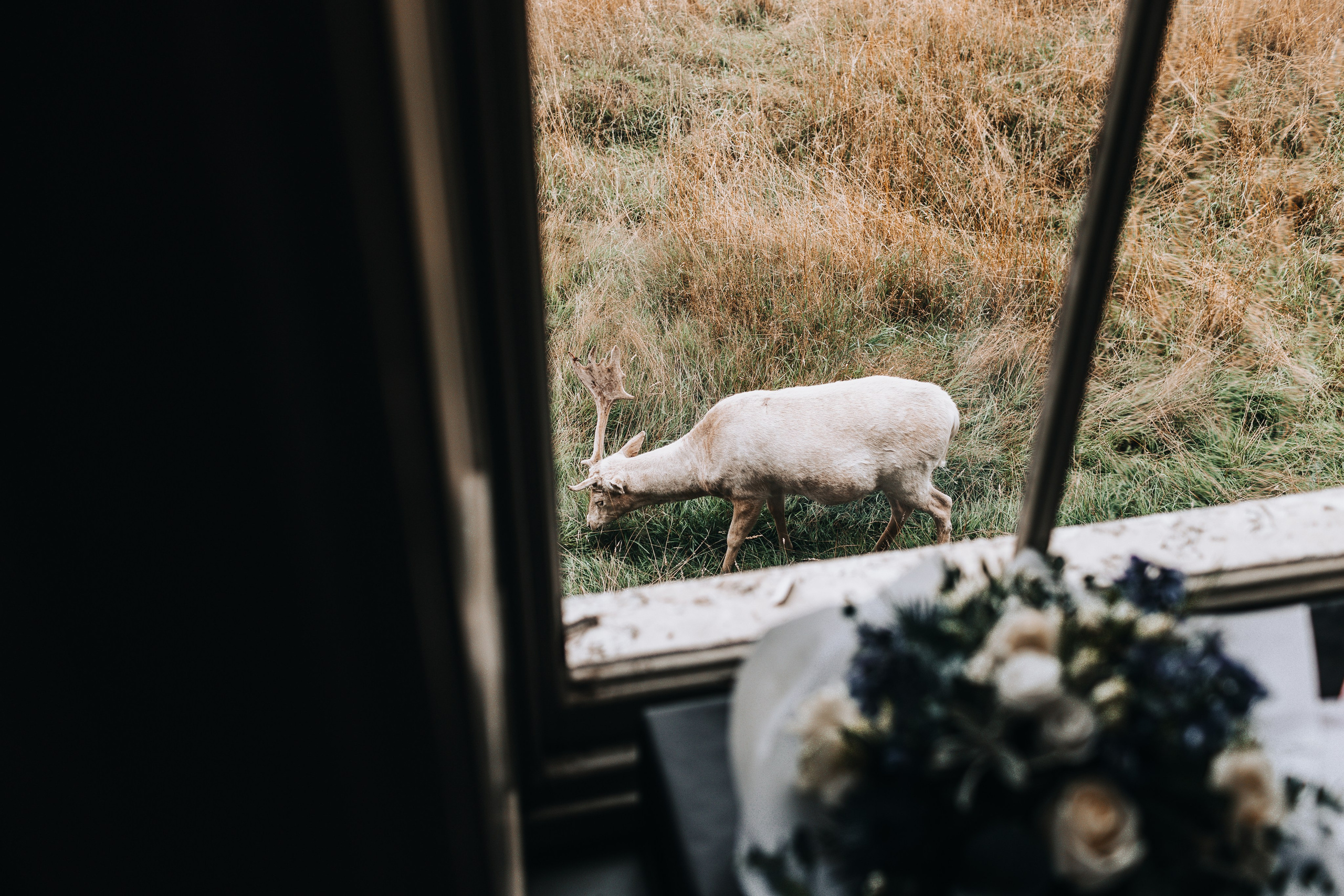 GEMMA + BIANCA. Main