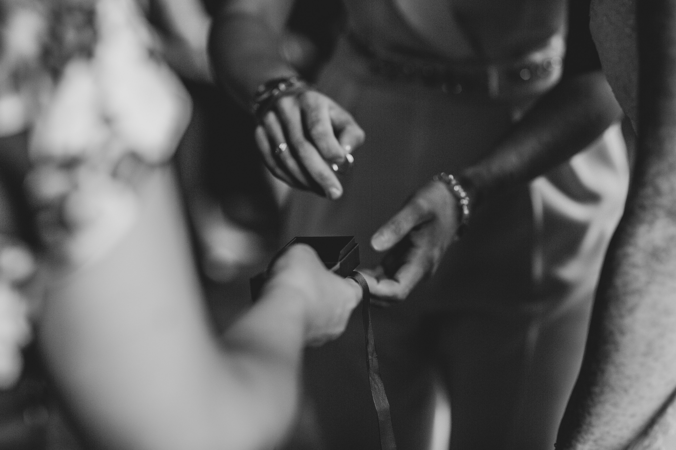 GEMMA + BIANCA. Main