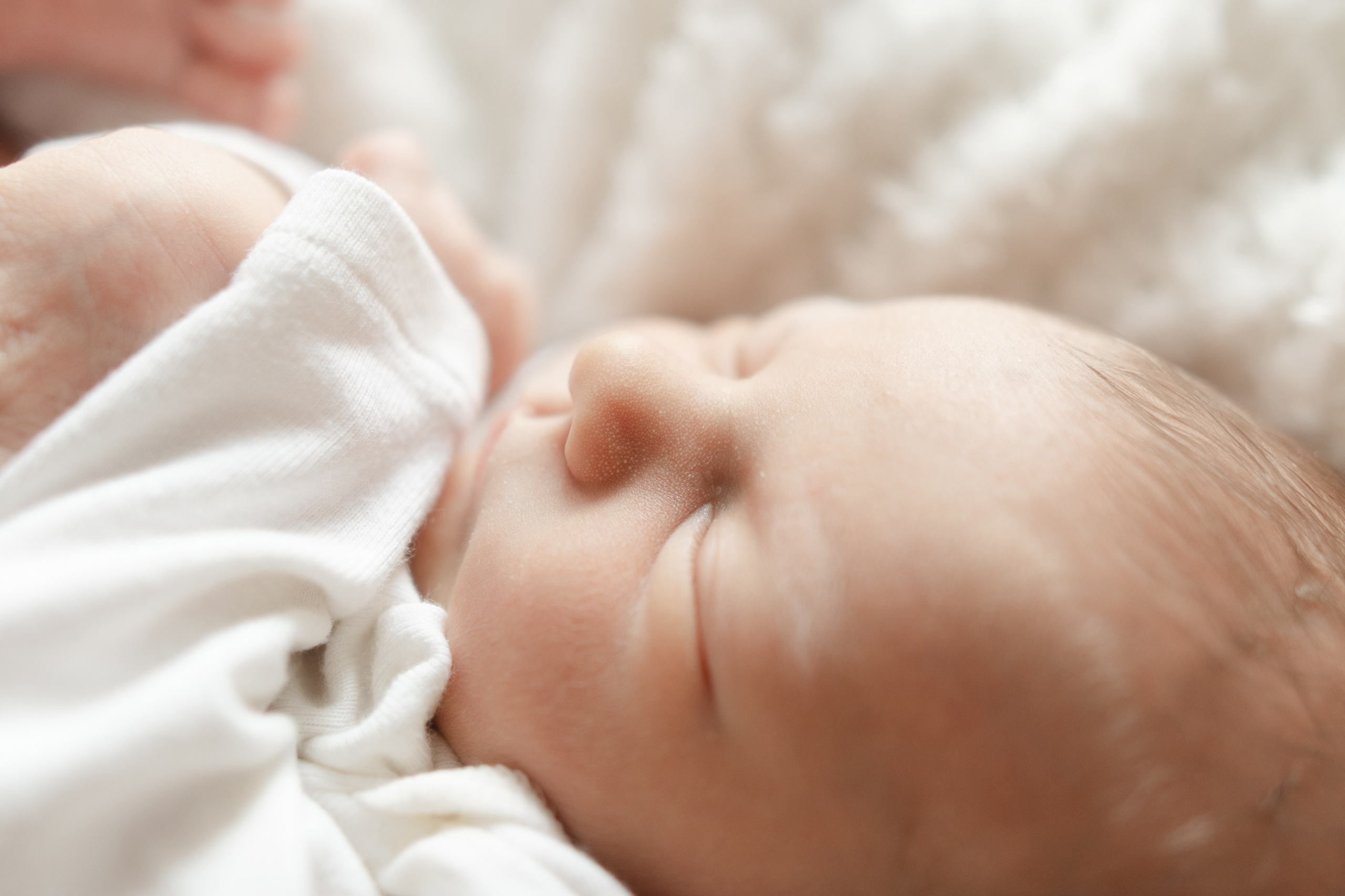 Fresh 48. Fotografka Andrea Hlaváčová / Karlovarský kraj / Karlovy Vary Sokolov