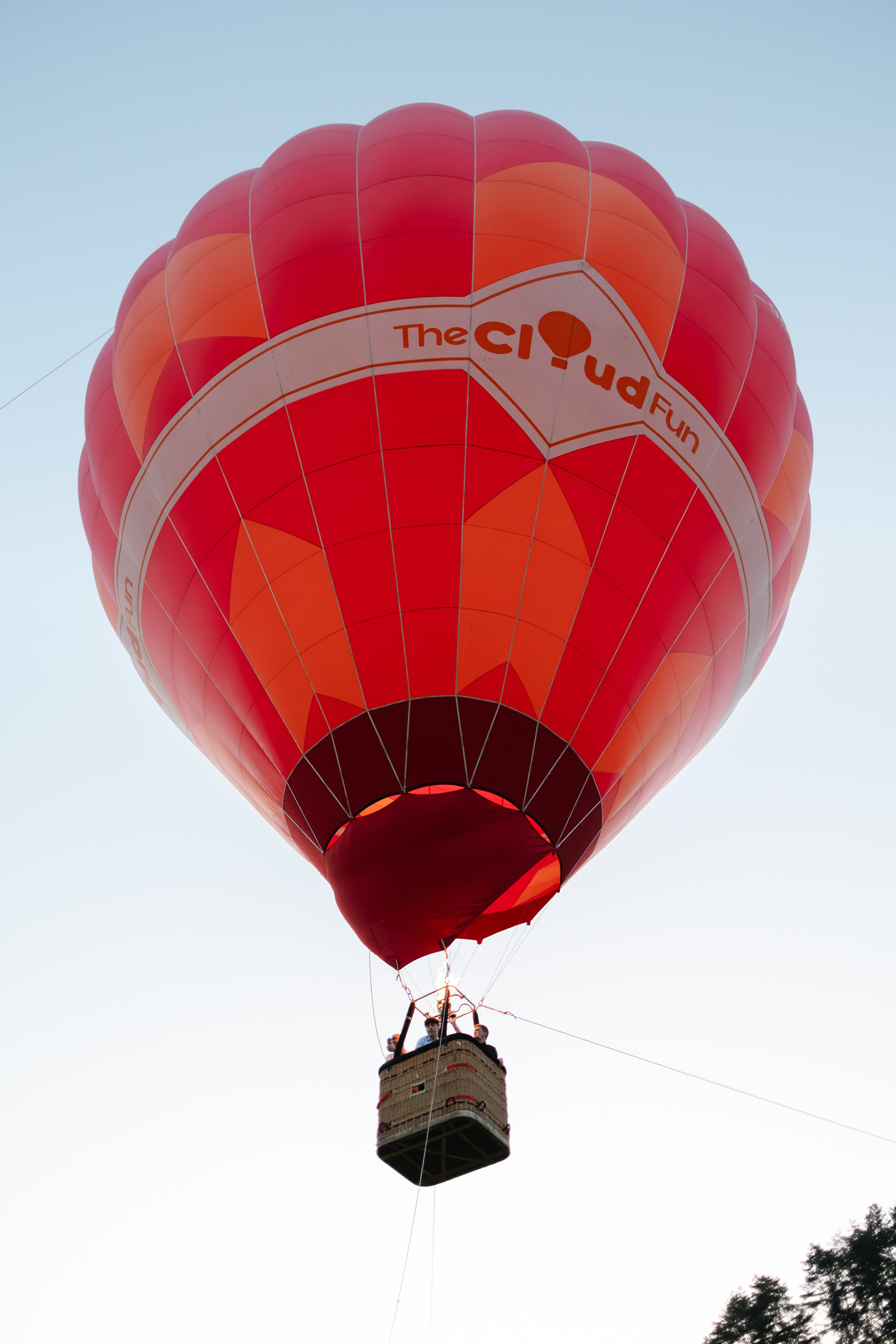 Flori & Cosmin. Main