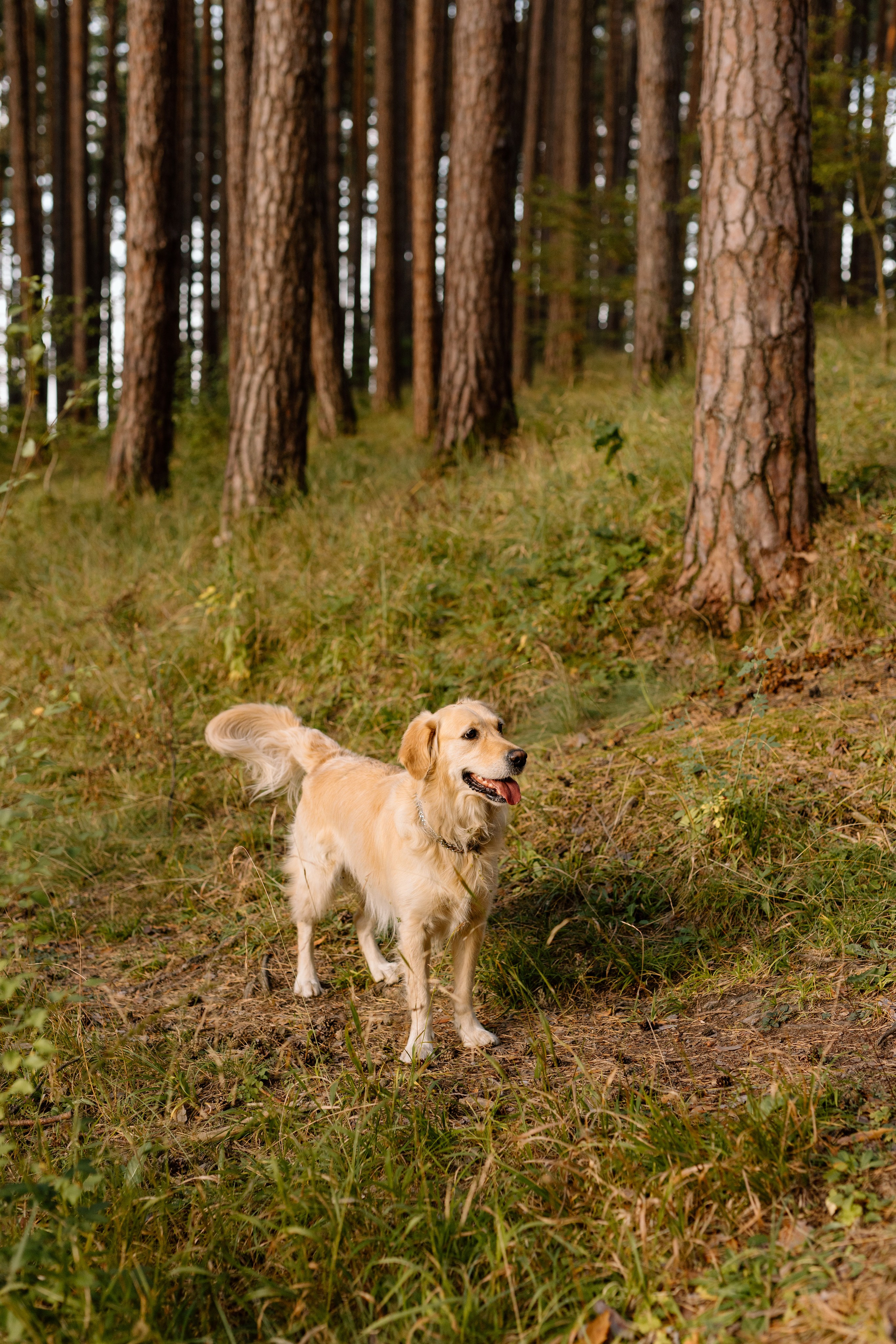 Sanziana, Daniel & Alexandru — Family. Main