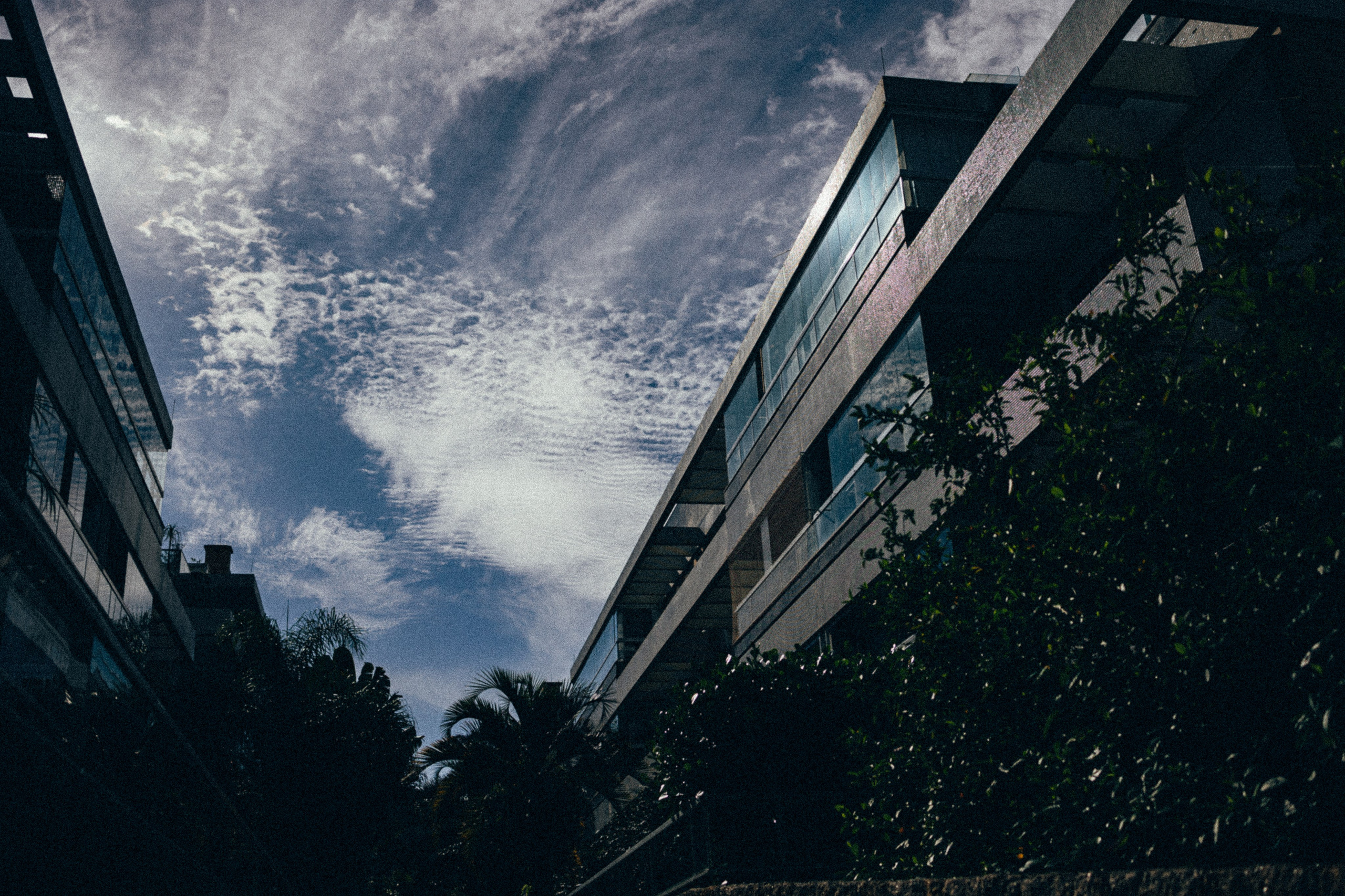 Teddy’s 4 Months. Fotografa documental de familia e nascimento em Florianópolis SC Daria Ermolaev