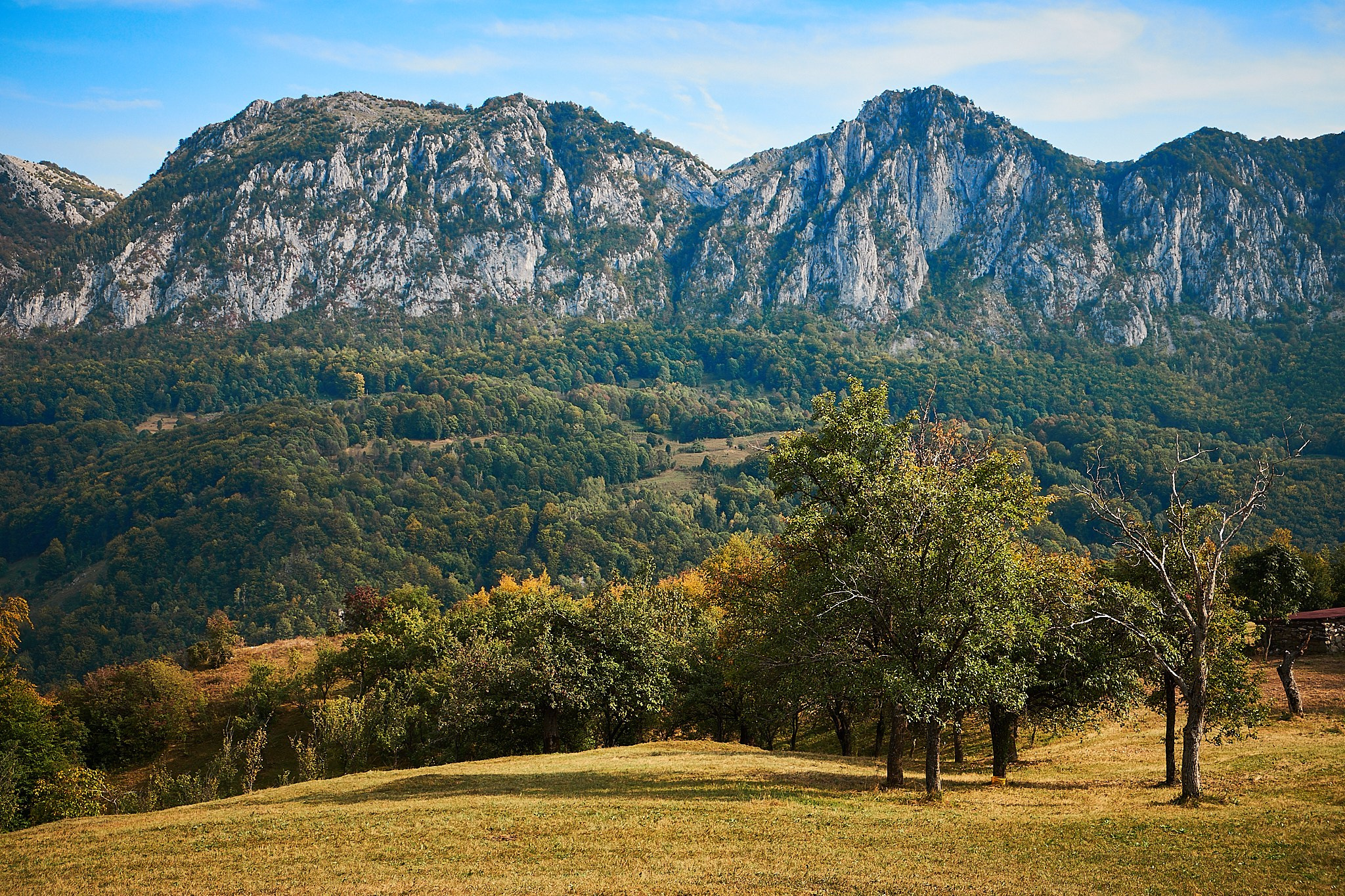 Ineleț, jud. Caraș-Severin. Pagina principală