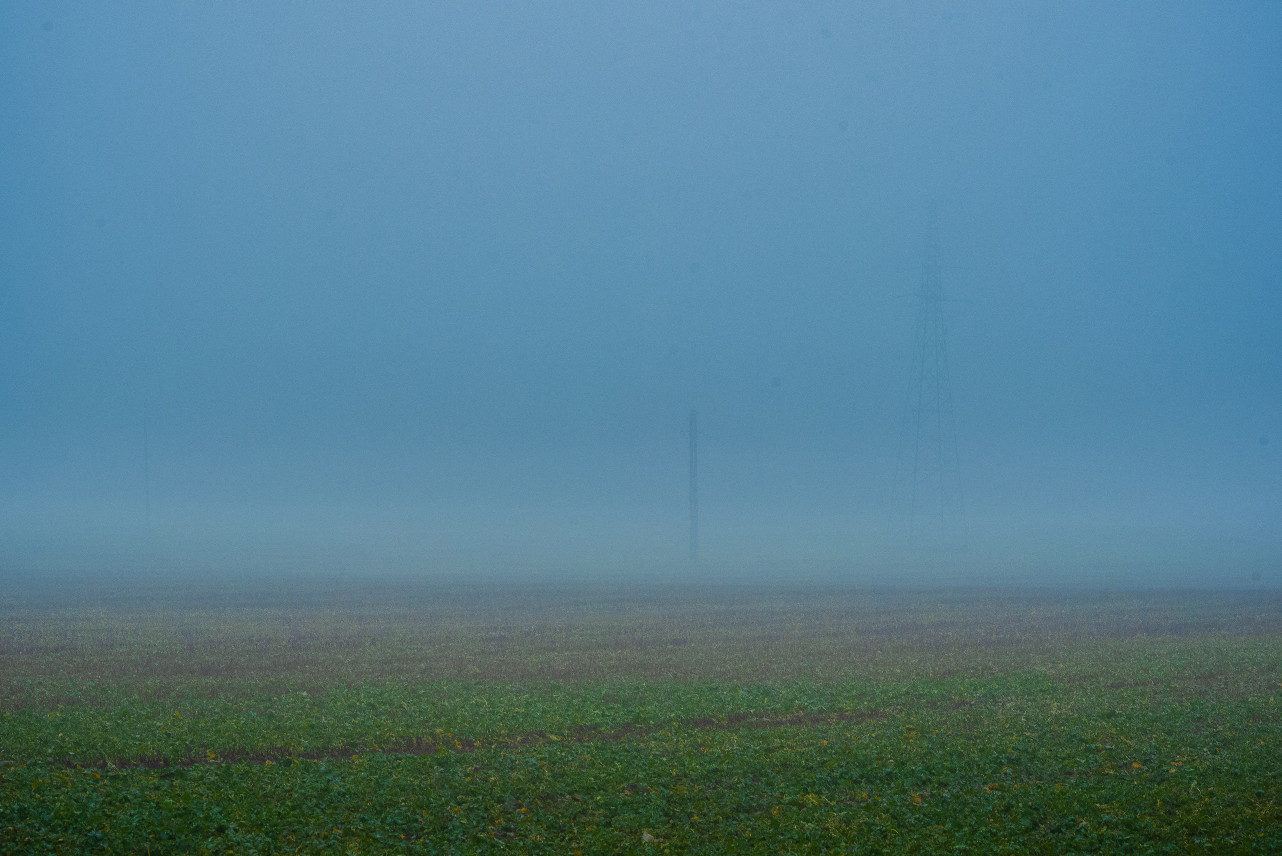 Туман в полях. Kindshephoto Женский и семейный фотограф Москва
