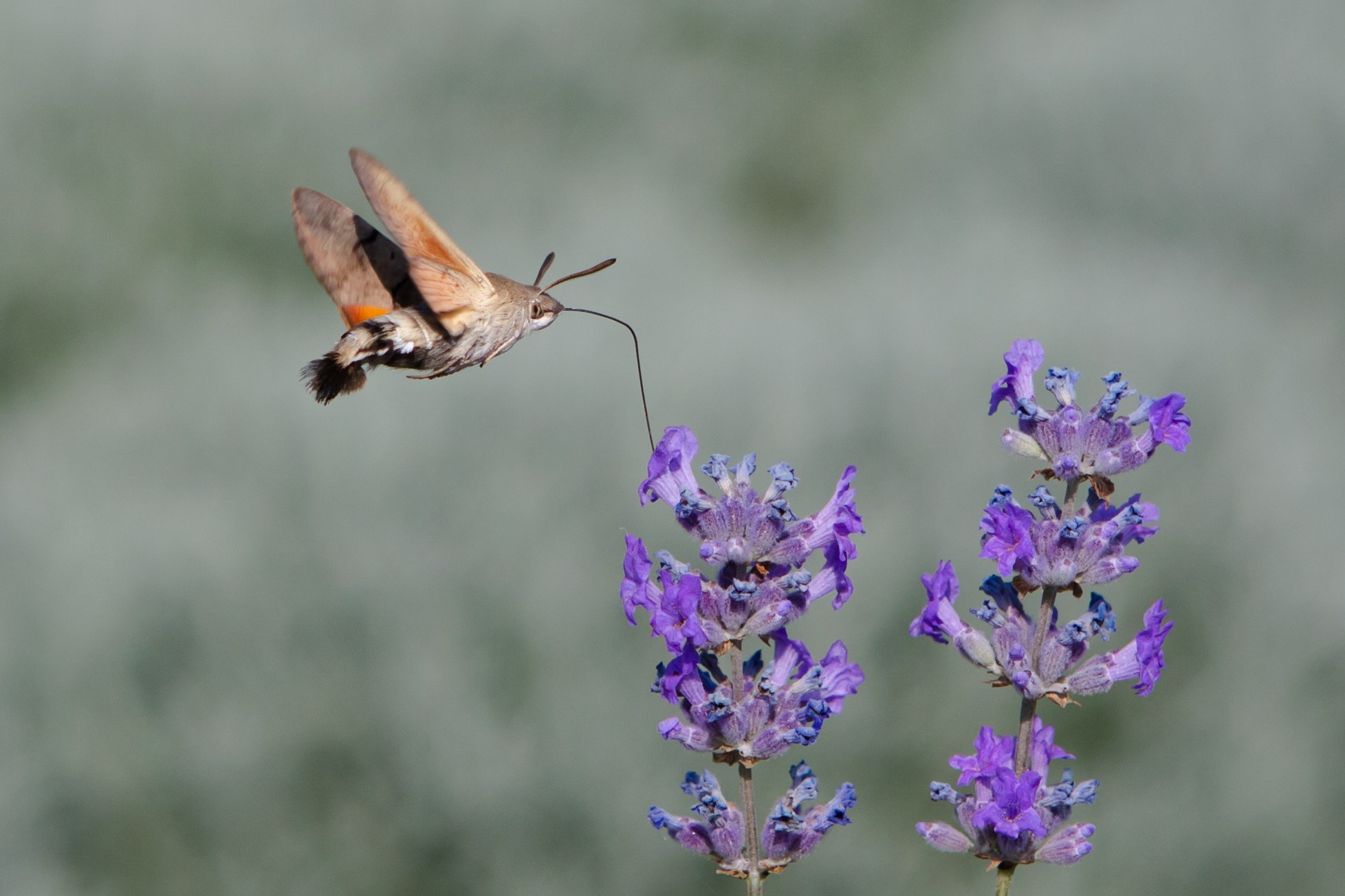 Работы учеников. Фотограф и преподаватель фотографии в Белграде