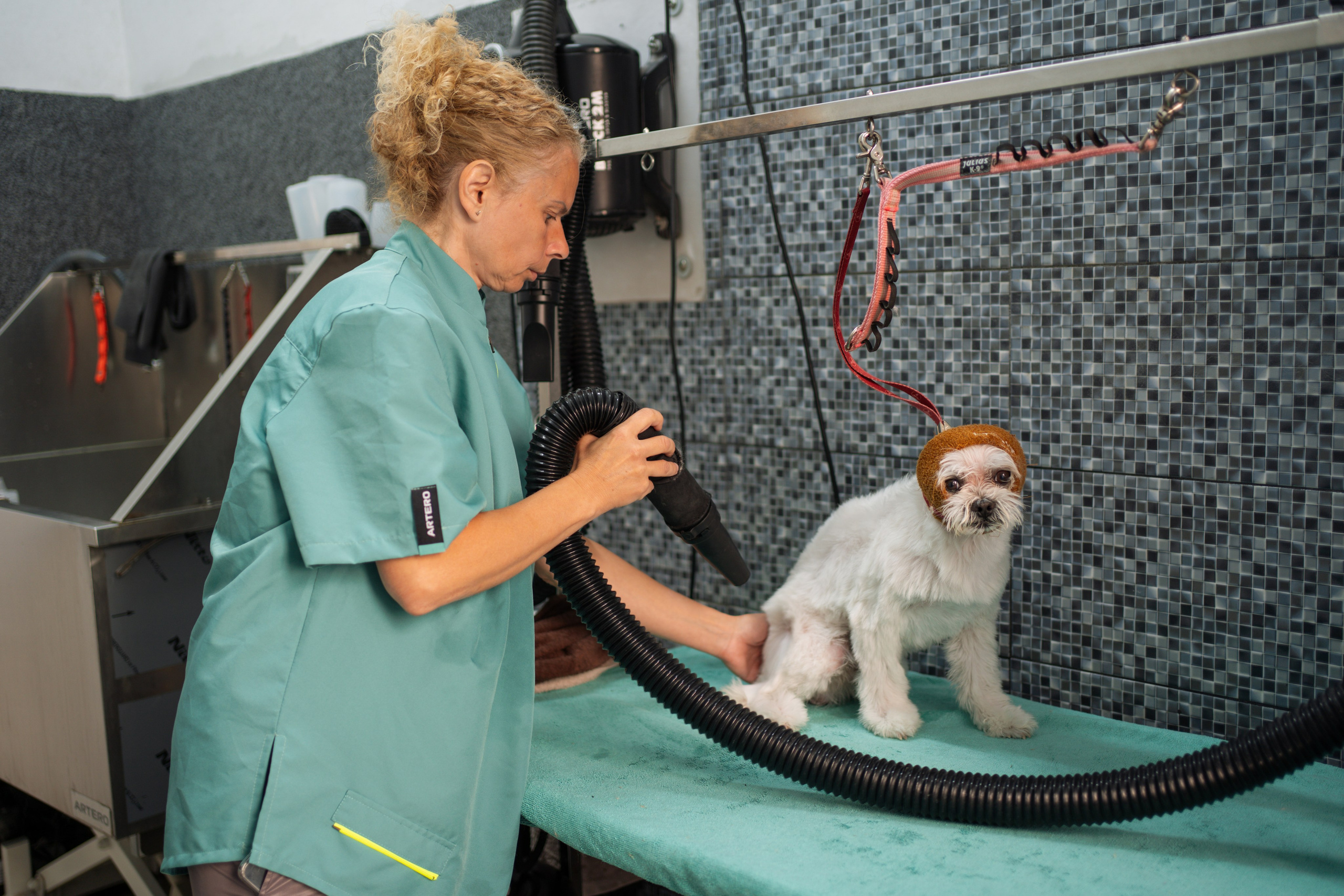 PetGroom Timisoara. Cozac Cristian Photographer