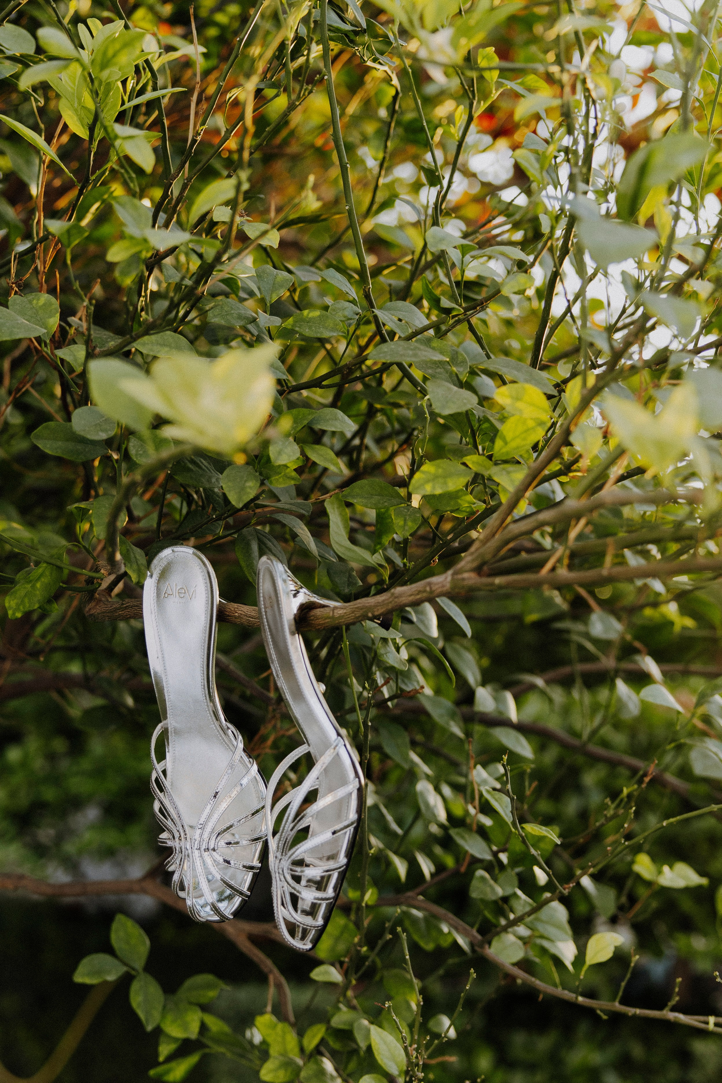 Fatima & Saif Melcha