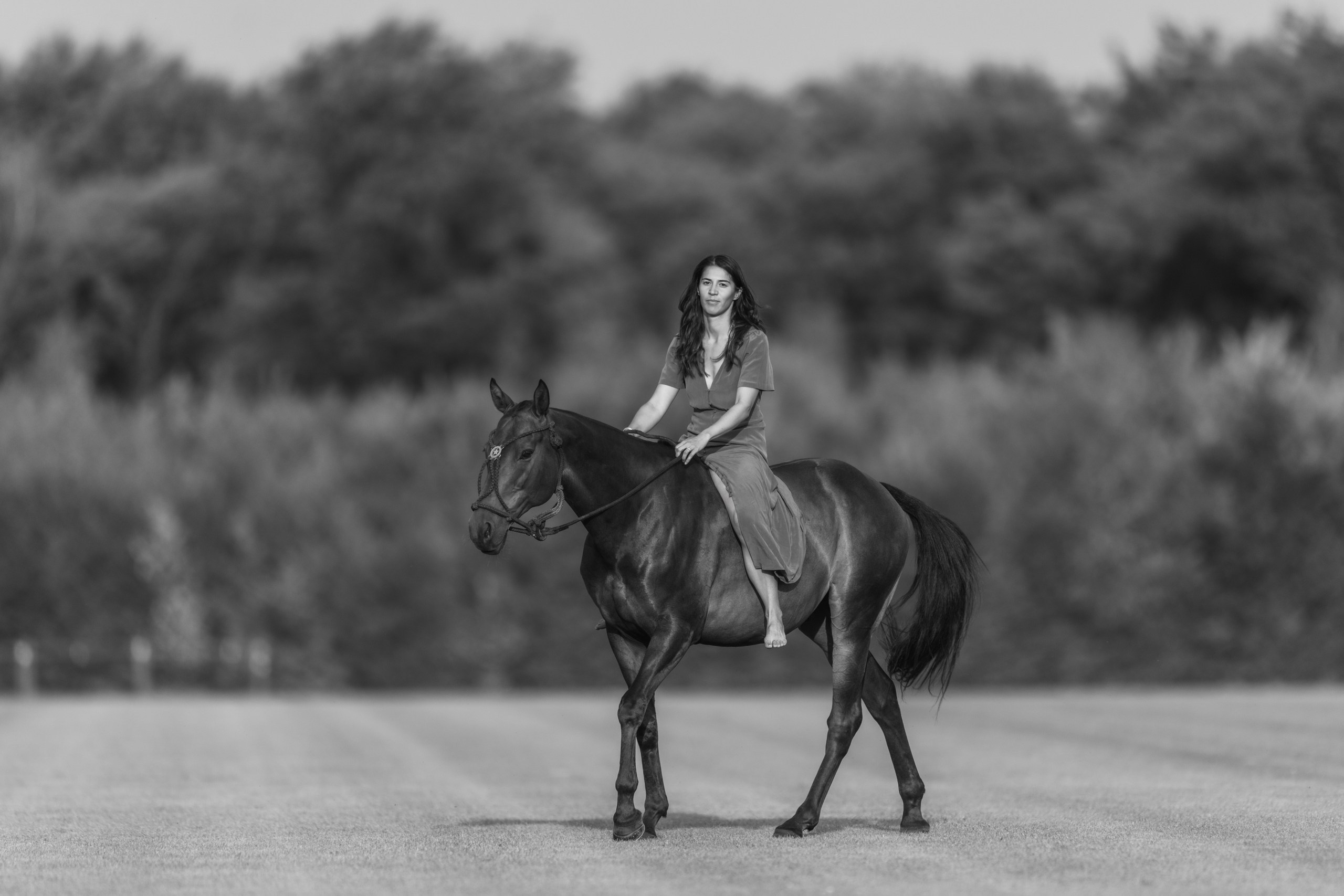 Photo shoot with horses