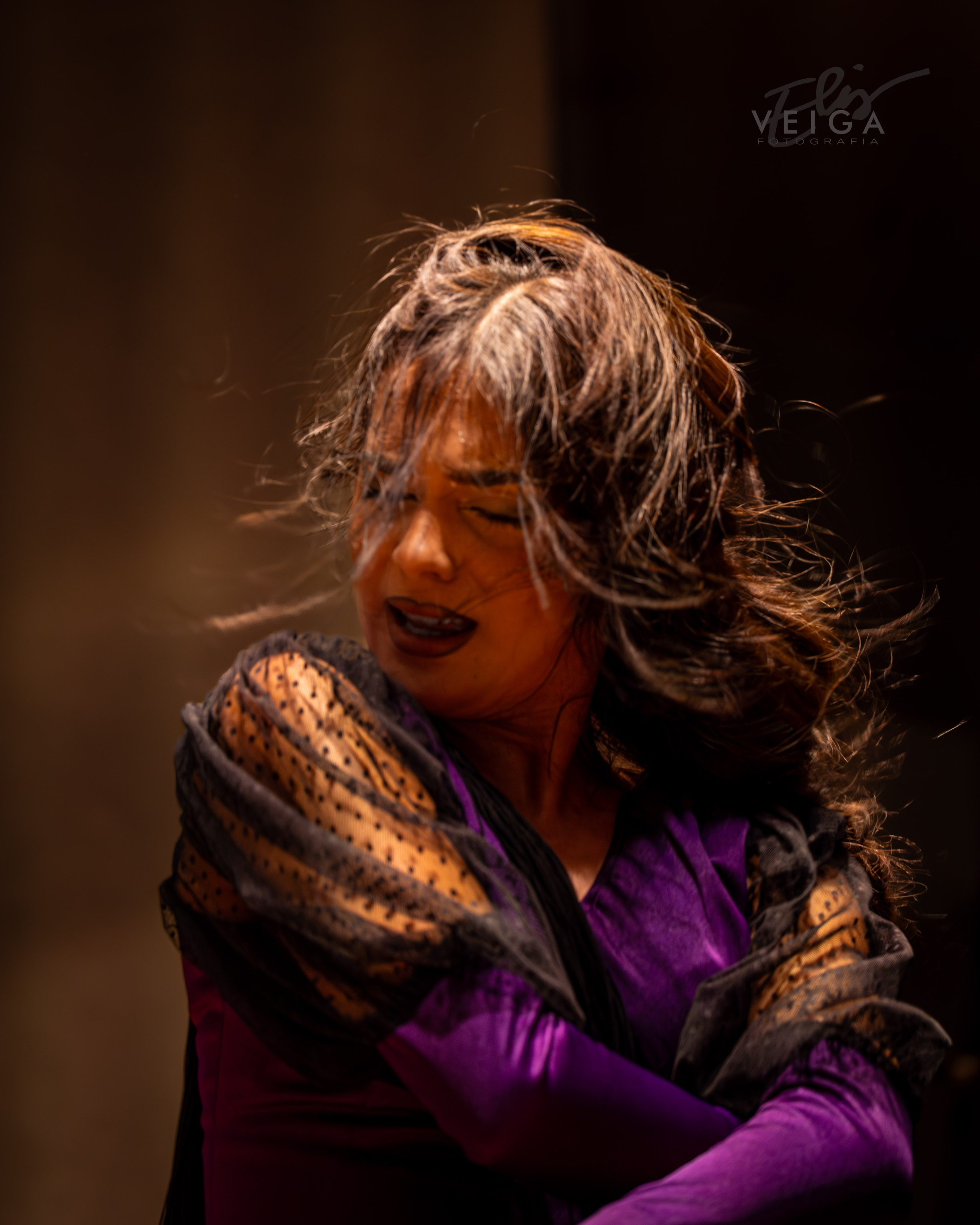 Espectáculo Baile. Elisveiga