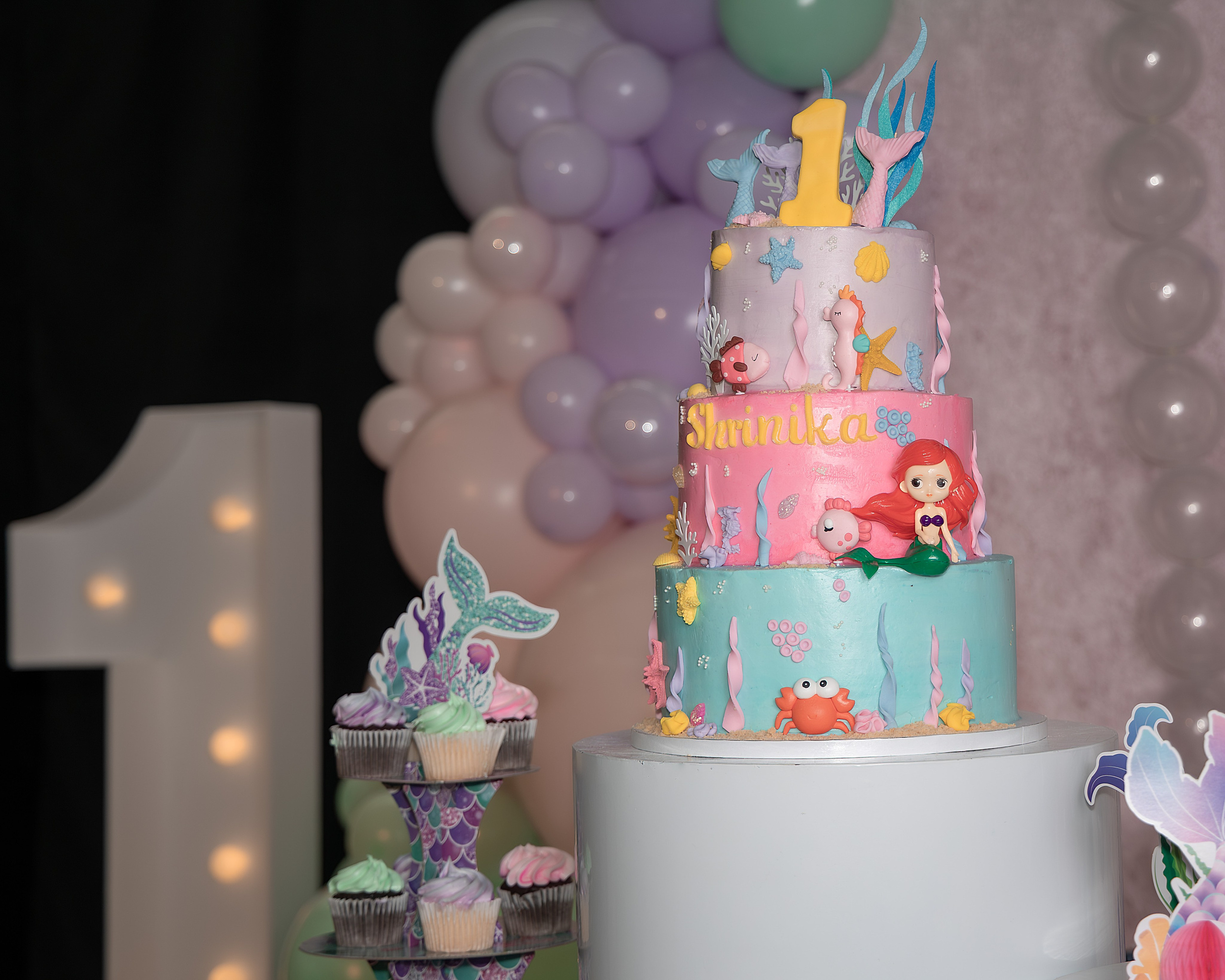 EVENT PHOTOGRAPHY. Couples & Families photographer in Bay Area, San Jose, California