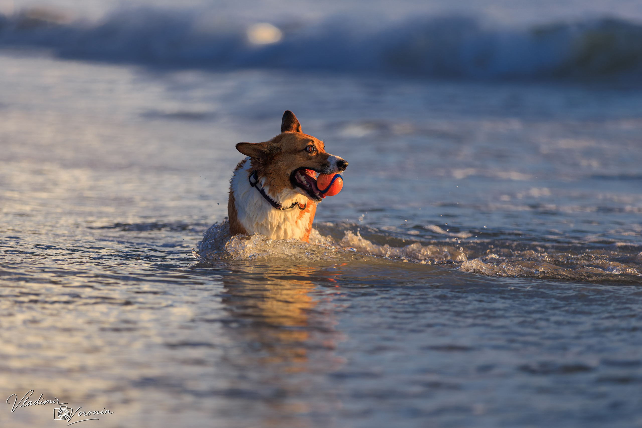 St. Augustine Beach. Photographer St. Augustine