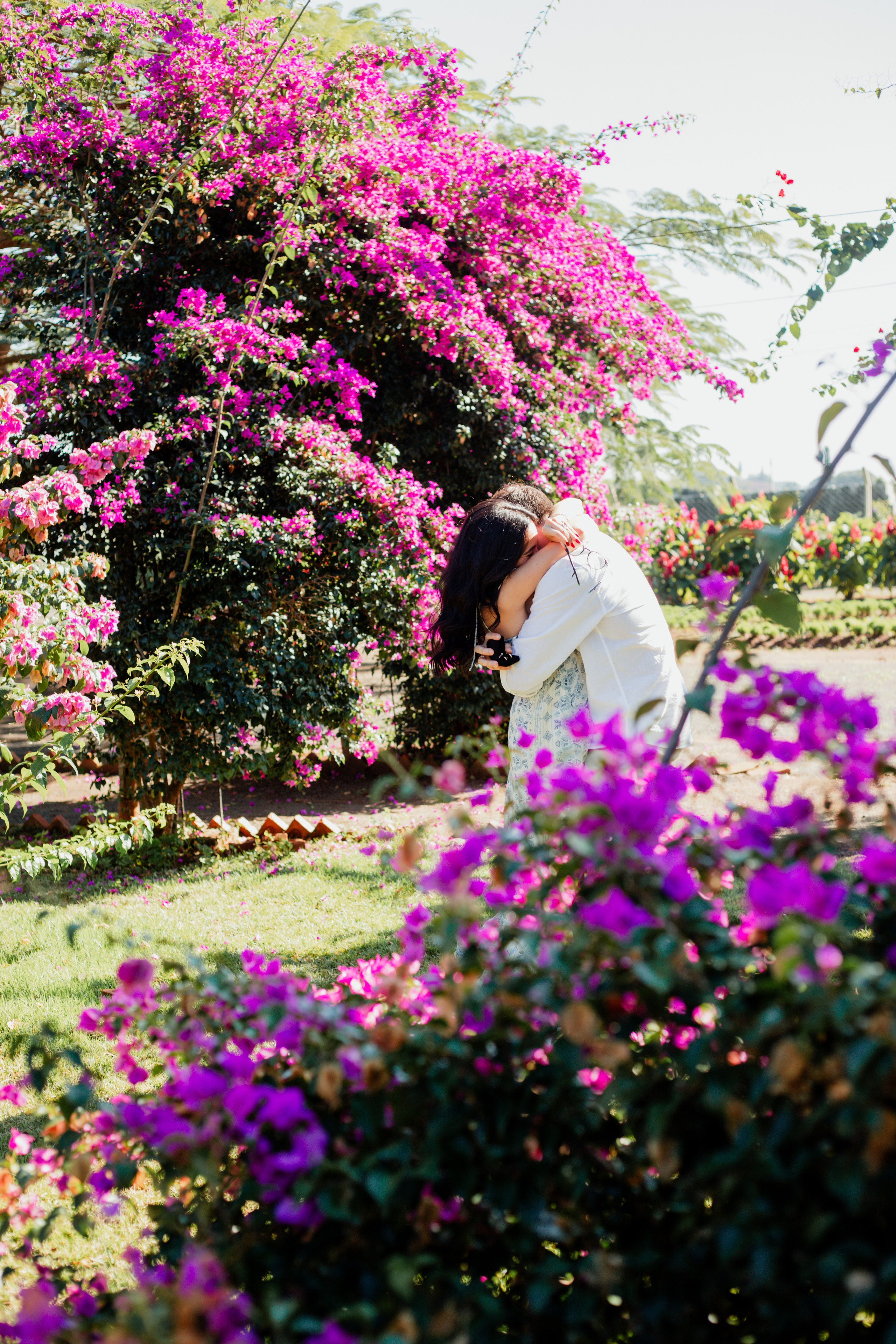 Pedido de casamento /Emilly e Yan. Joyce Maria Fotografia | Fotógrafa em Holambra