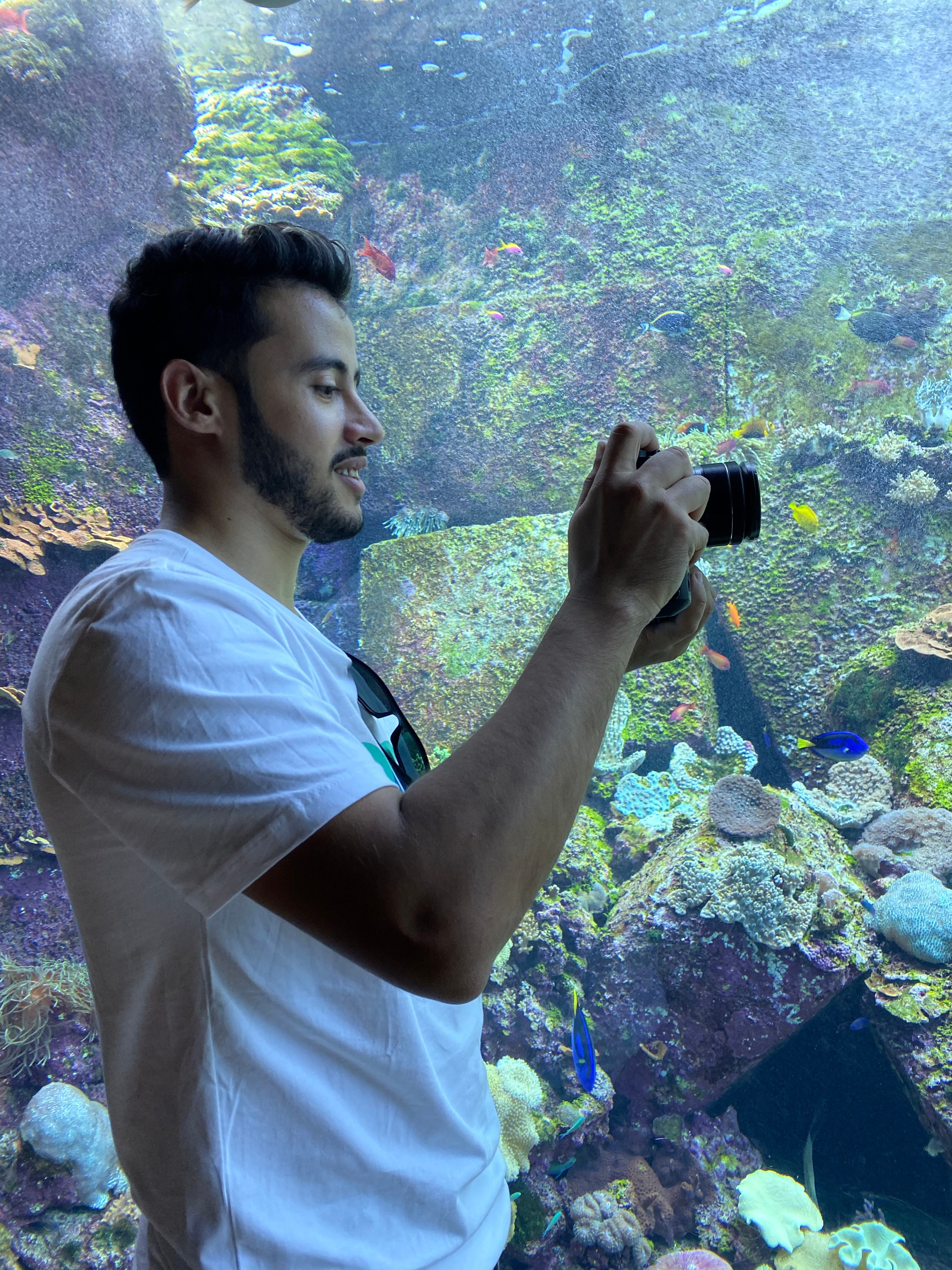 Предложения. Брахим — фотограф