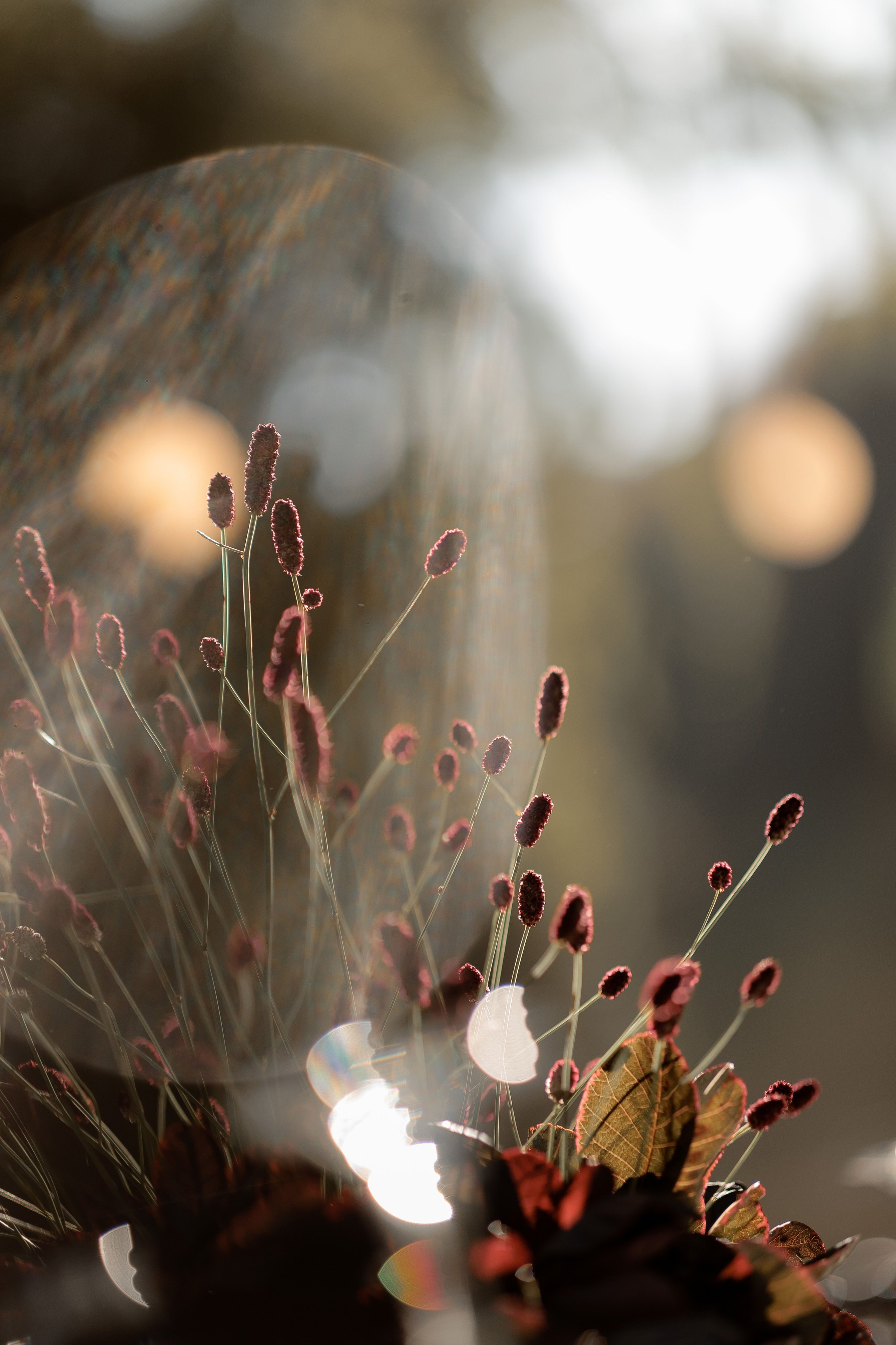 S&B. Orange County Wedding Photographer & Videographer | Candid & Timeless Wedding Photo + Video | Italiantsev