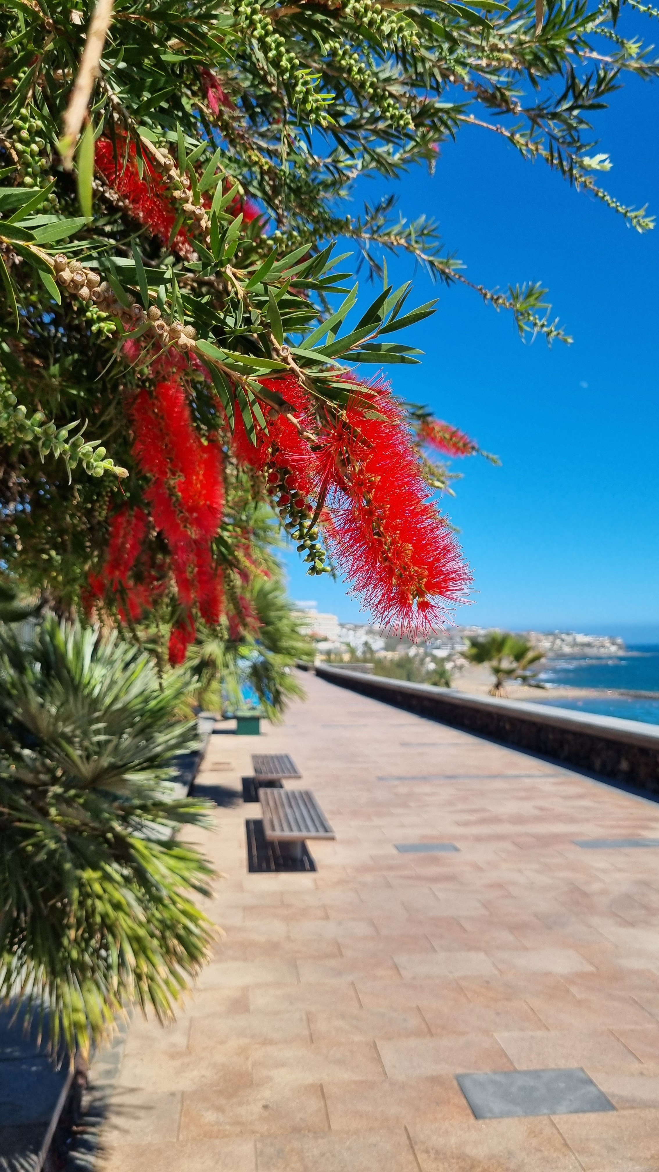 Gran Canaria 2024. Марина фотограф из Нюрнберга