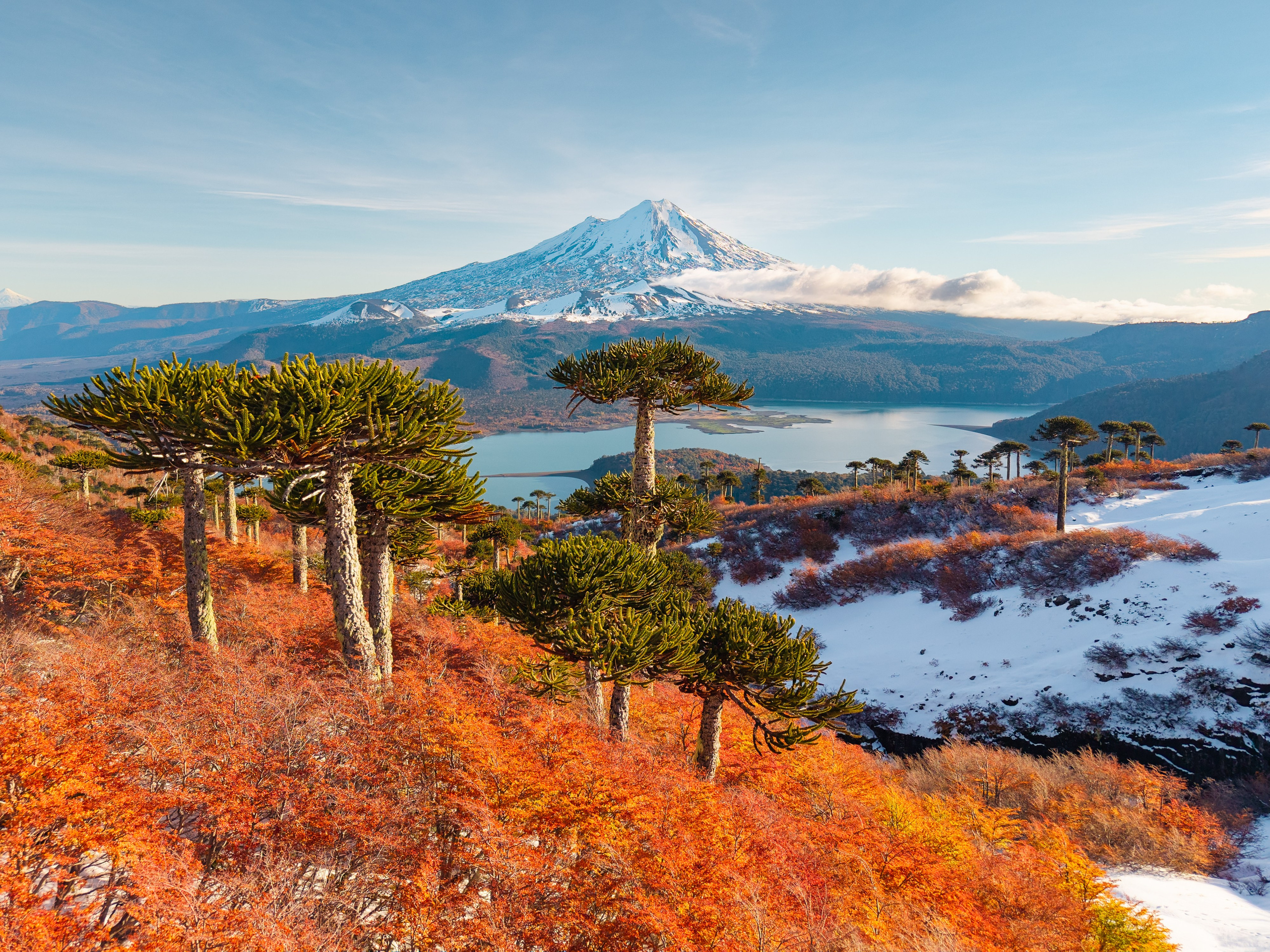 SERVICIOS. DIEGO LUNA - FOTÓGRAFO DE VIAJES Y NATURALEZA EN CHILE