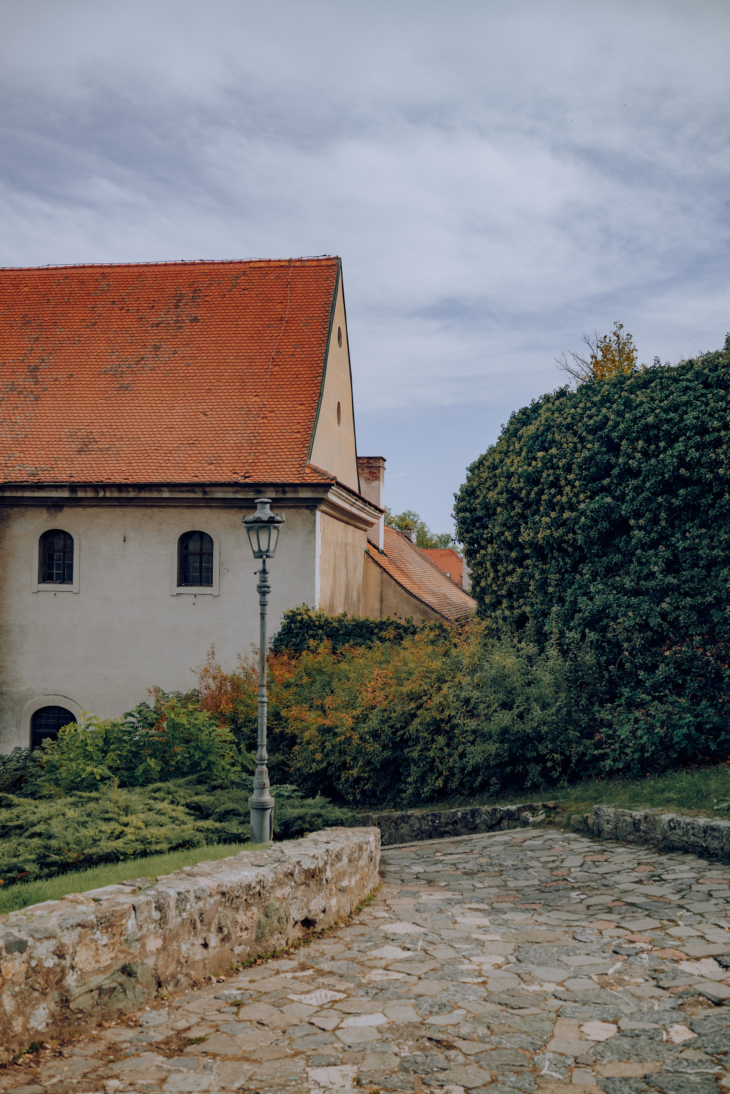 J.R.V. Семейный фотограф. Сербия. Нови-Сад. Белград