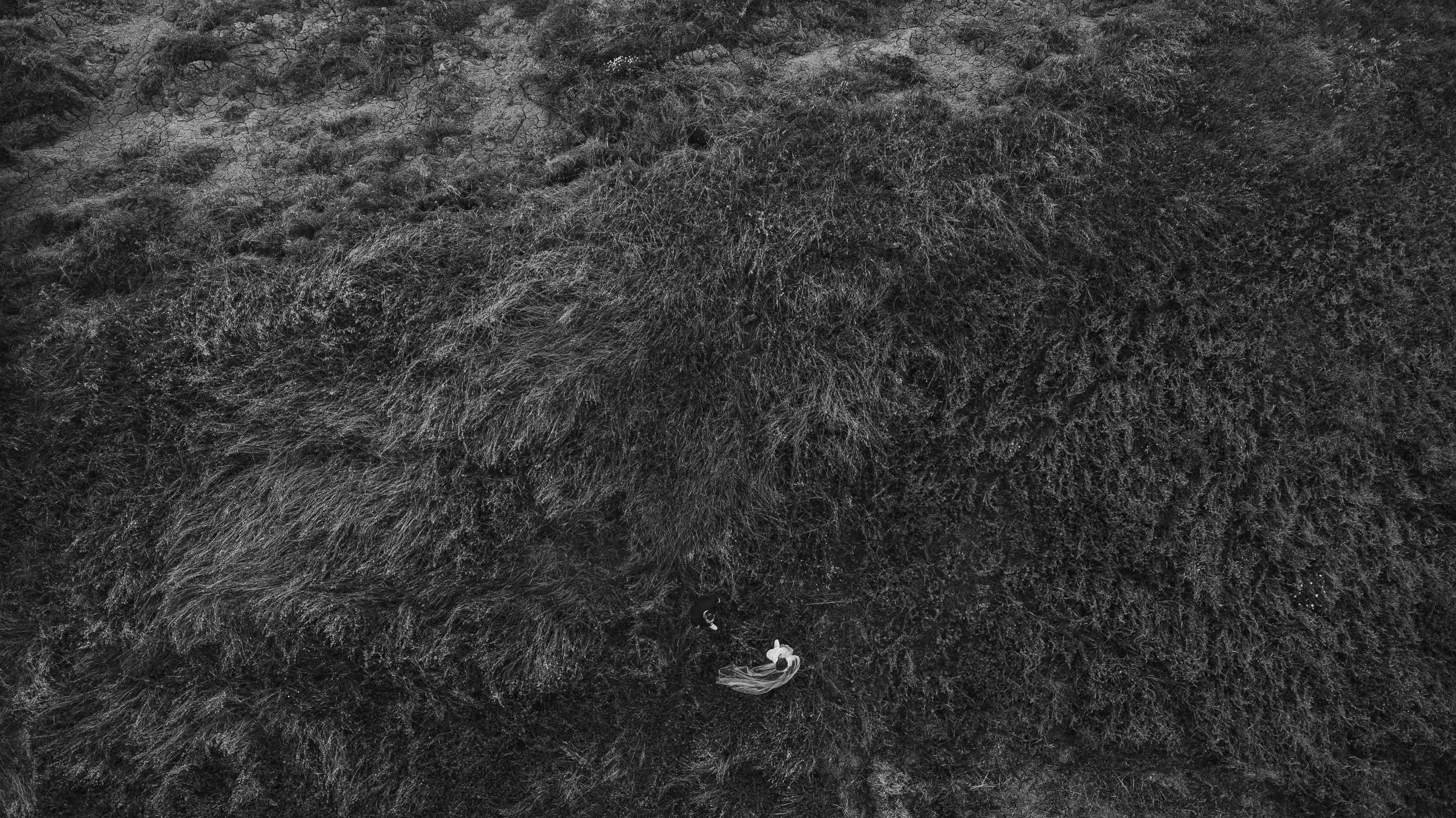 Bologna, Italy. Wedding Photographer Tel-Aviv