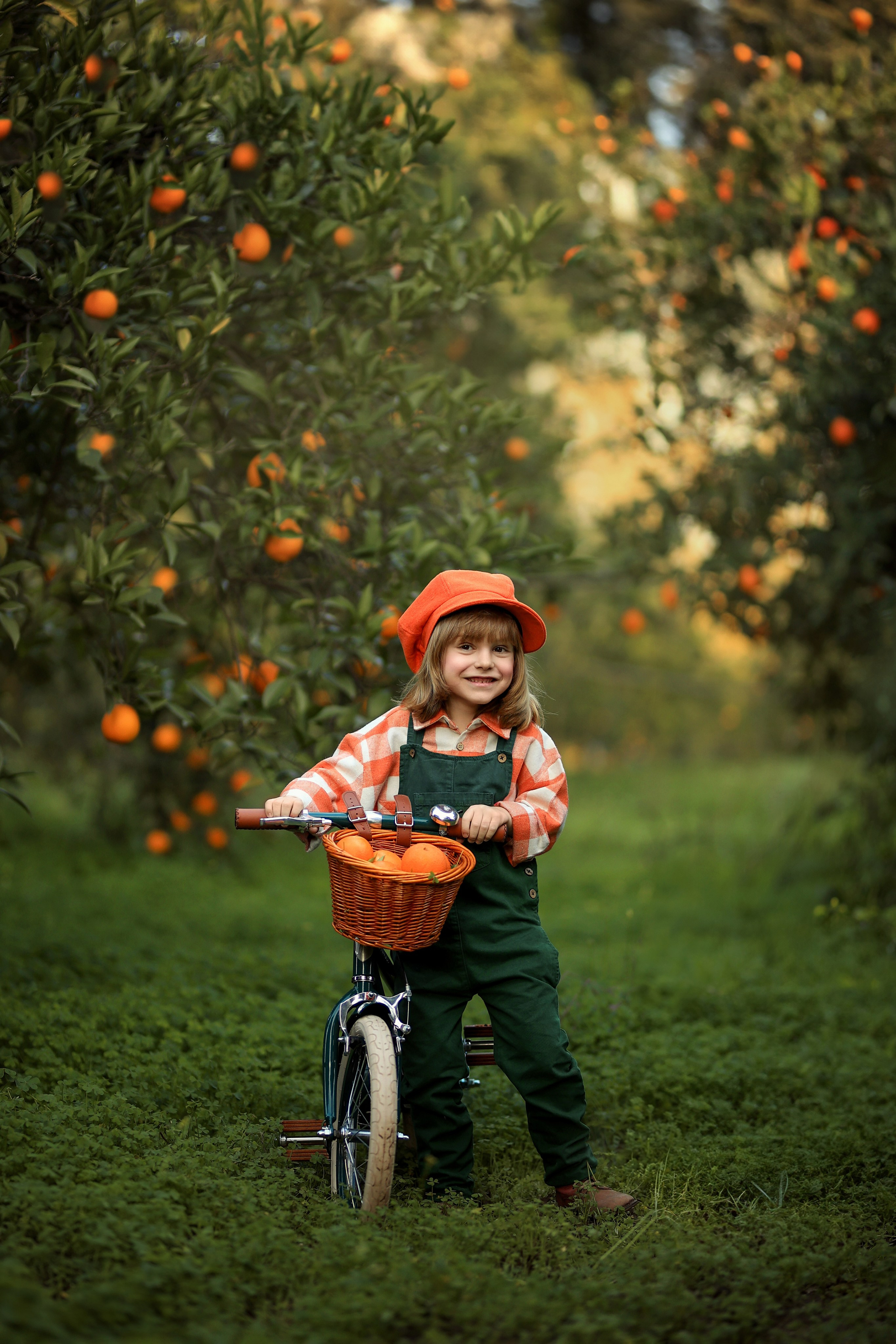 Photoshooting in orange garden. Photographer in Turkey, Antalya, Kemer, Belek, Side, Kas, Fethiye