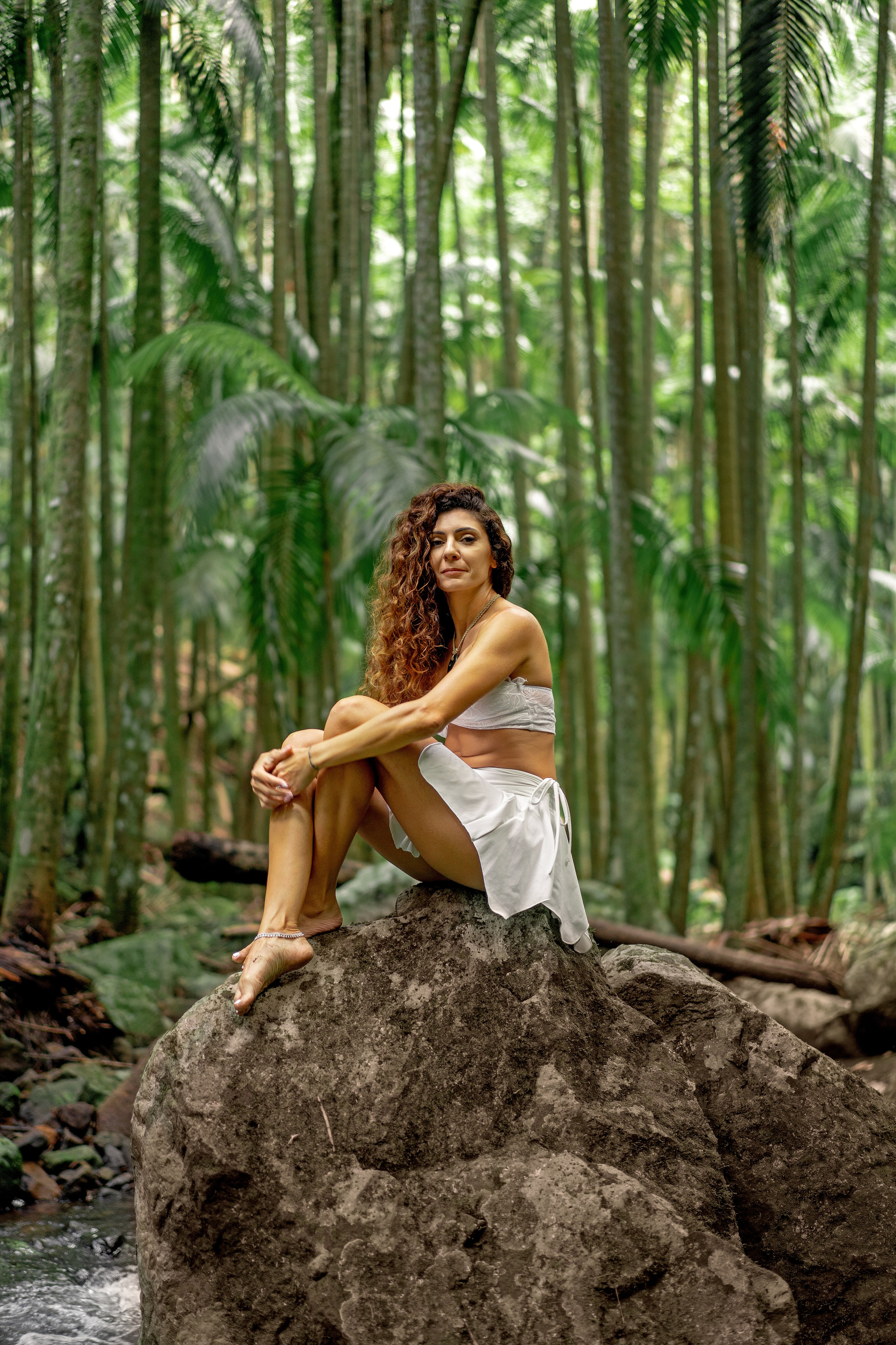 Tropical Forest with Ran. Welcome!