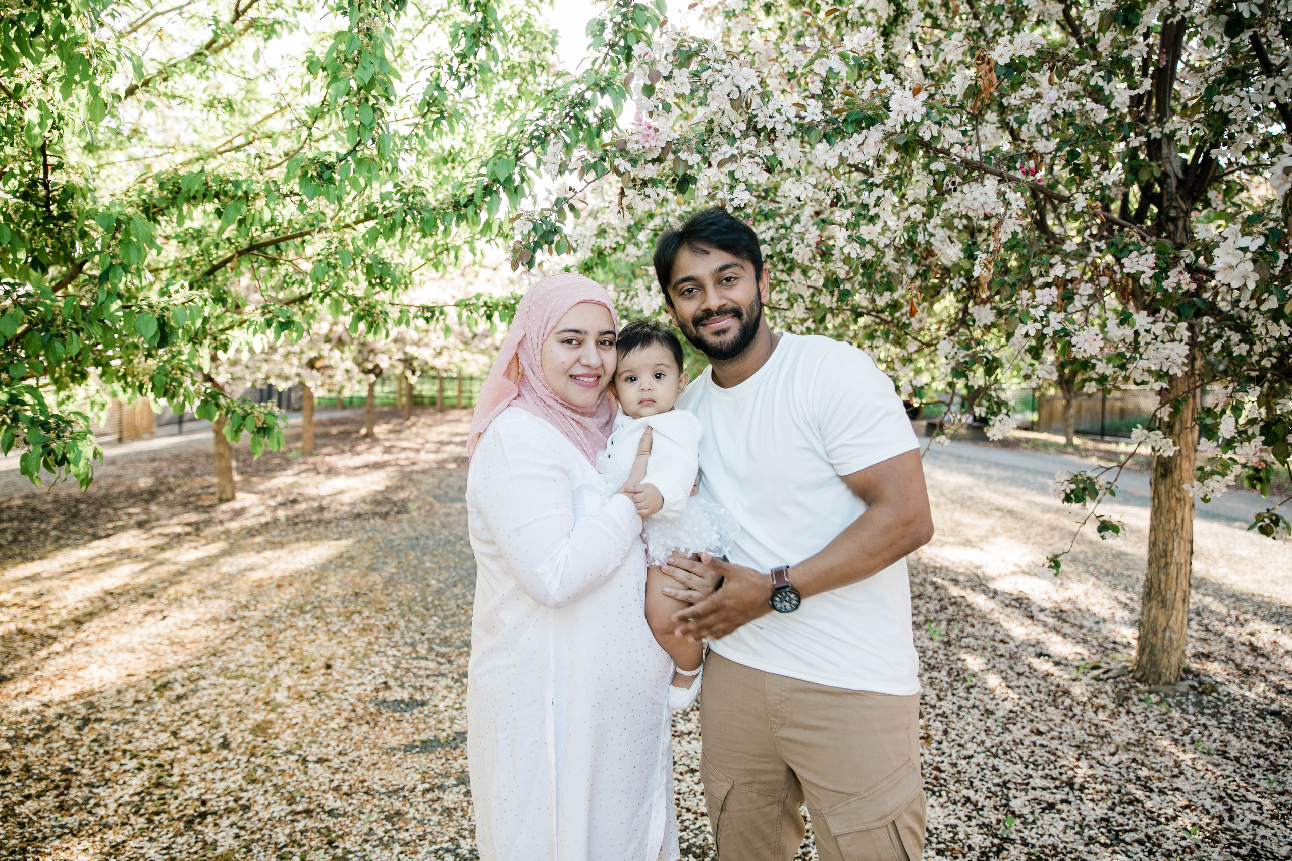 Nabeel Cherry Blossoms. Fotografía accesible en Calgary
