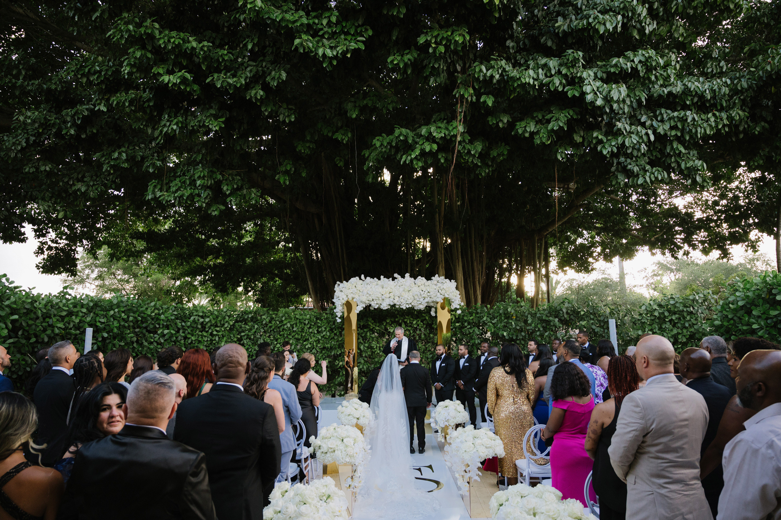 a wedding ceremony with a large tree in the background