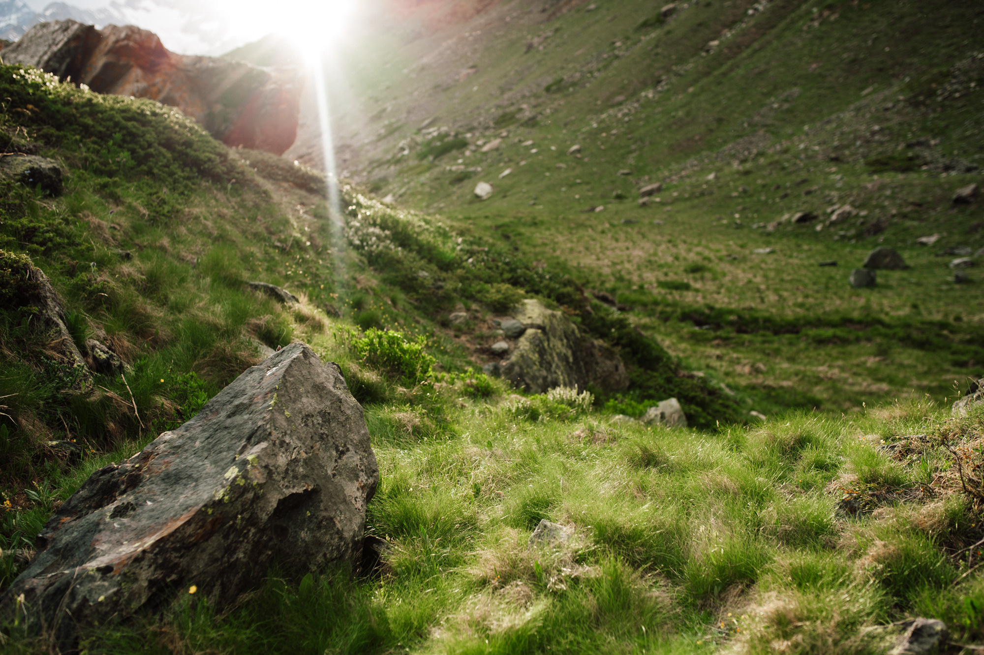 a person is walking up a hill