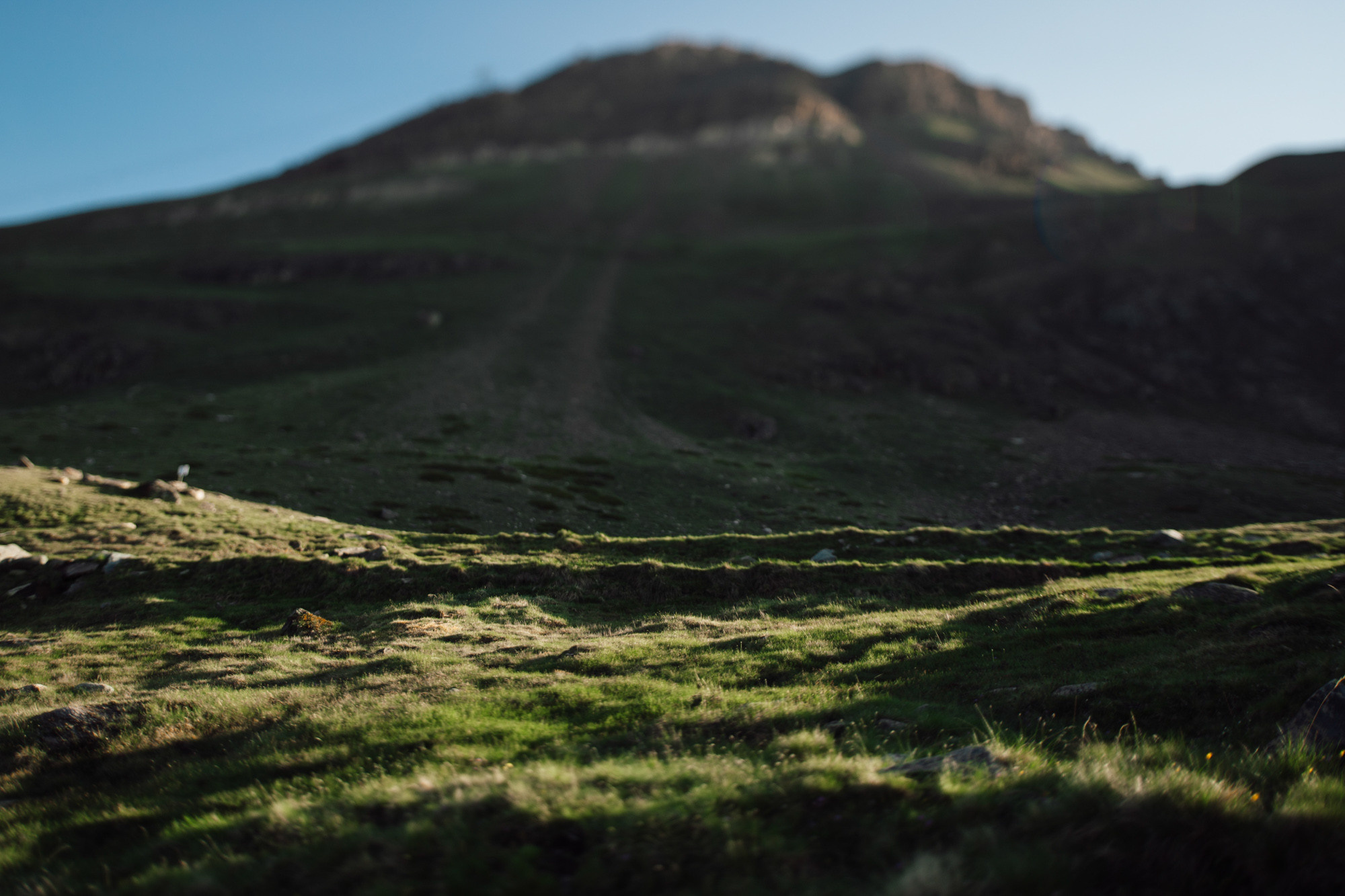 a sheep is standing in the grass on a hill