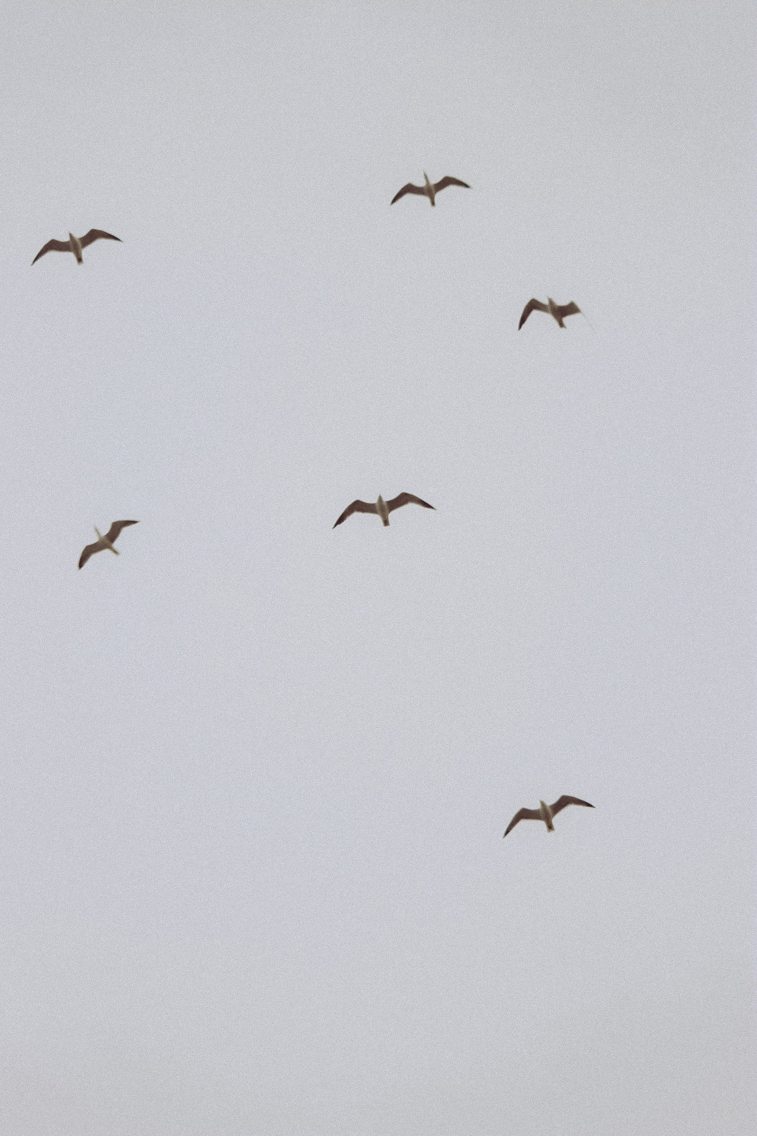 People. Photographe à la Seyne sur Mer, Var