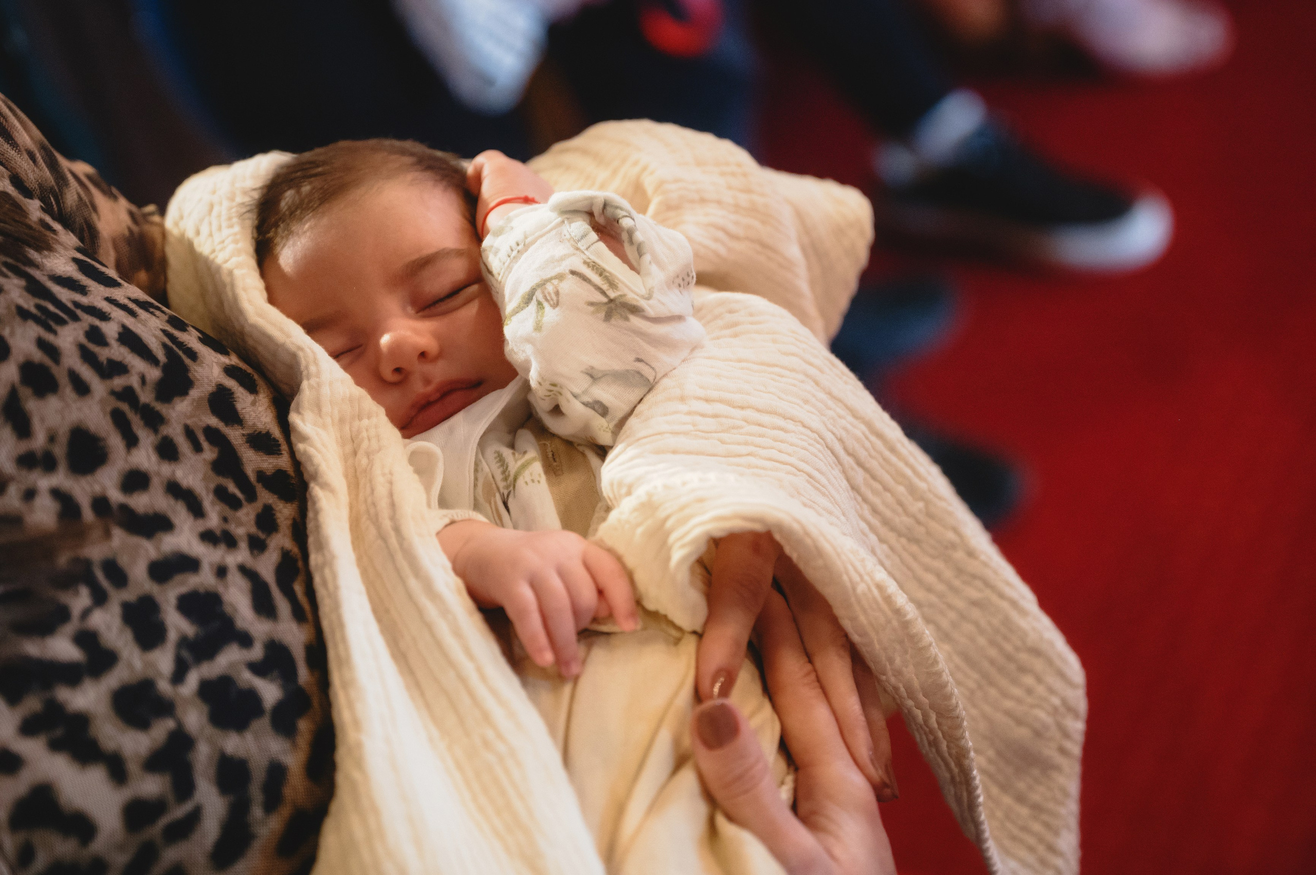 Povestea lui Vladimir. Laurentiu Stefan StoryTeller