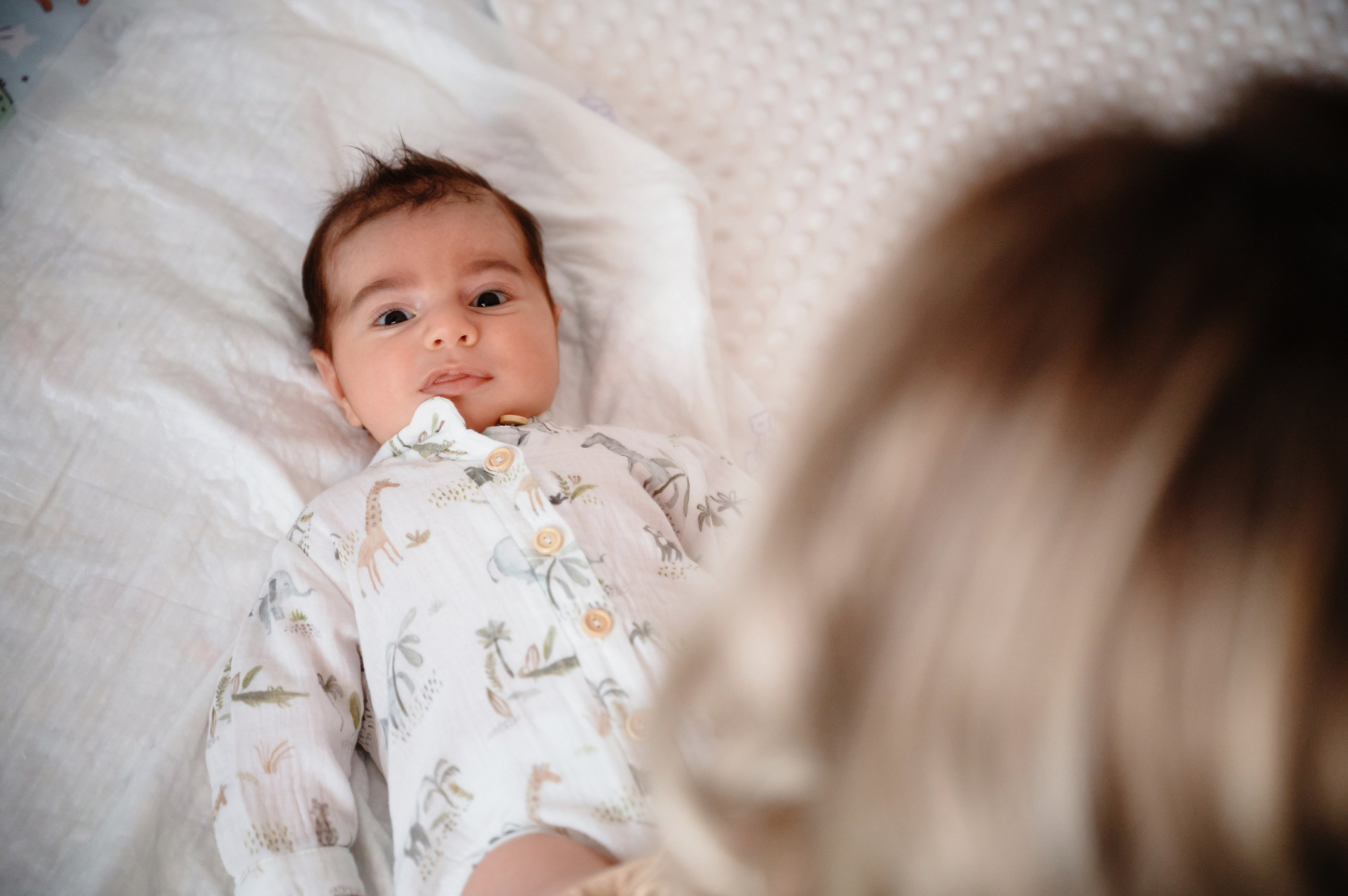 Povestea lui Vladimir. Laurentiu Stefan StoryTeller