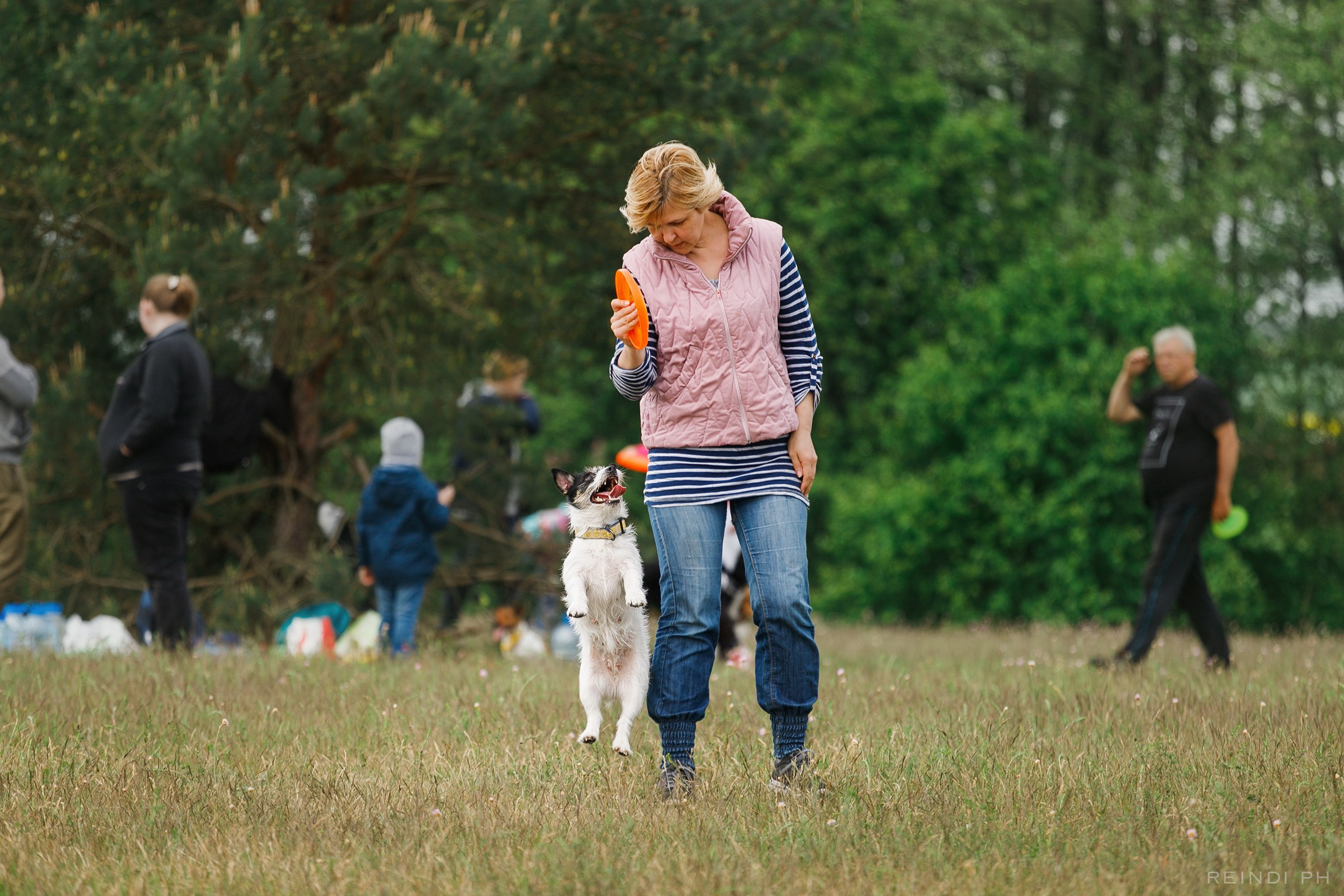 Dog frisbee championship | summer. Kaja | fotograf we Wrocławiu | ludzie i psy